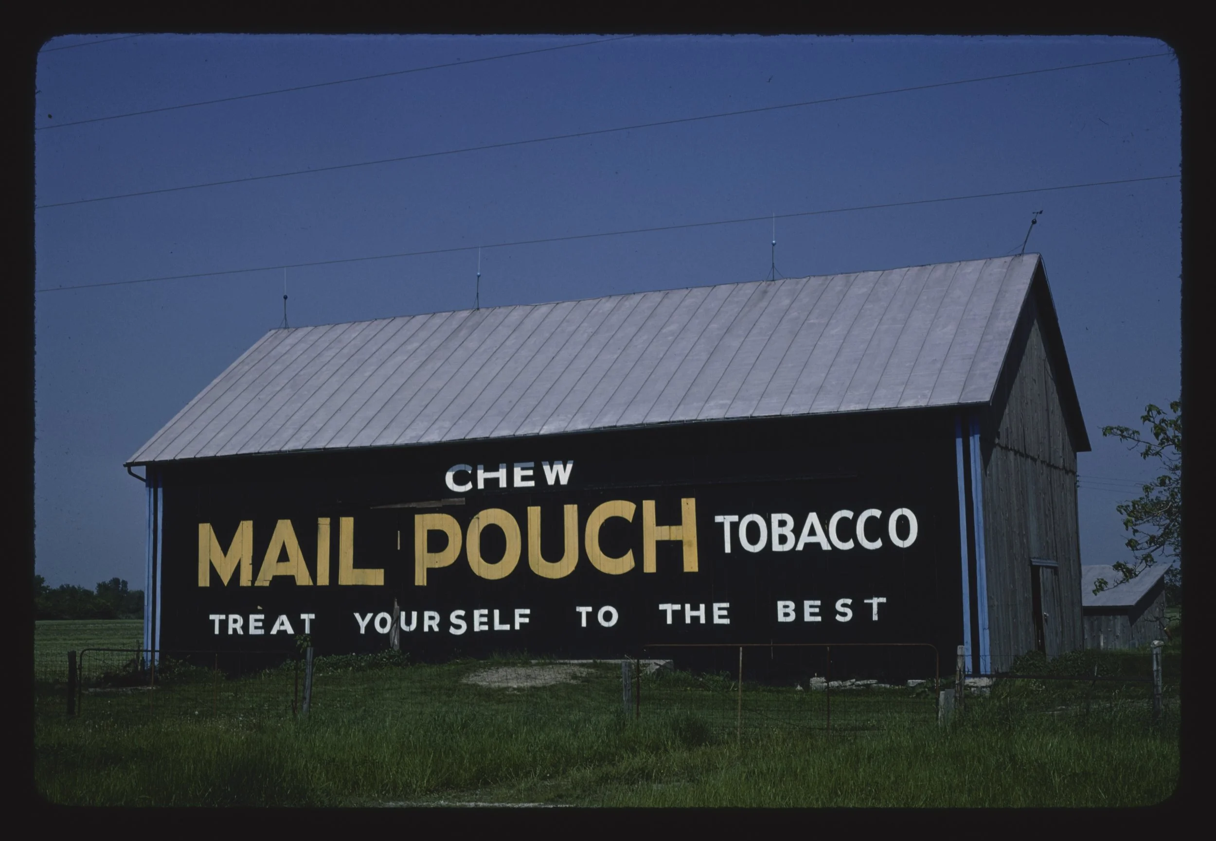 Chew on this! (Photo courtesy of John Margolies, Roadside America Collection, Library of Congress)