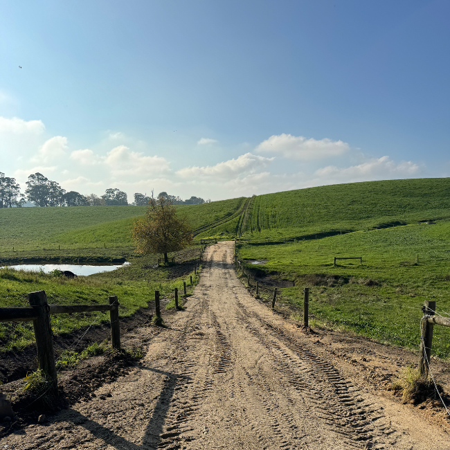 Dirt road leading through green countryside with fields, a small pond, and a single tree, under a partly cloudy blue sky.