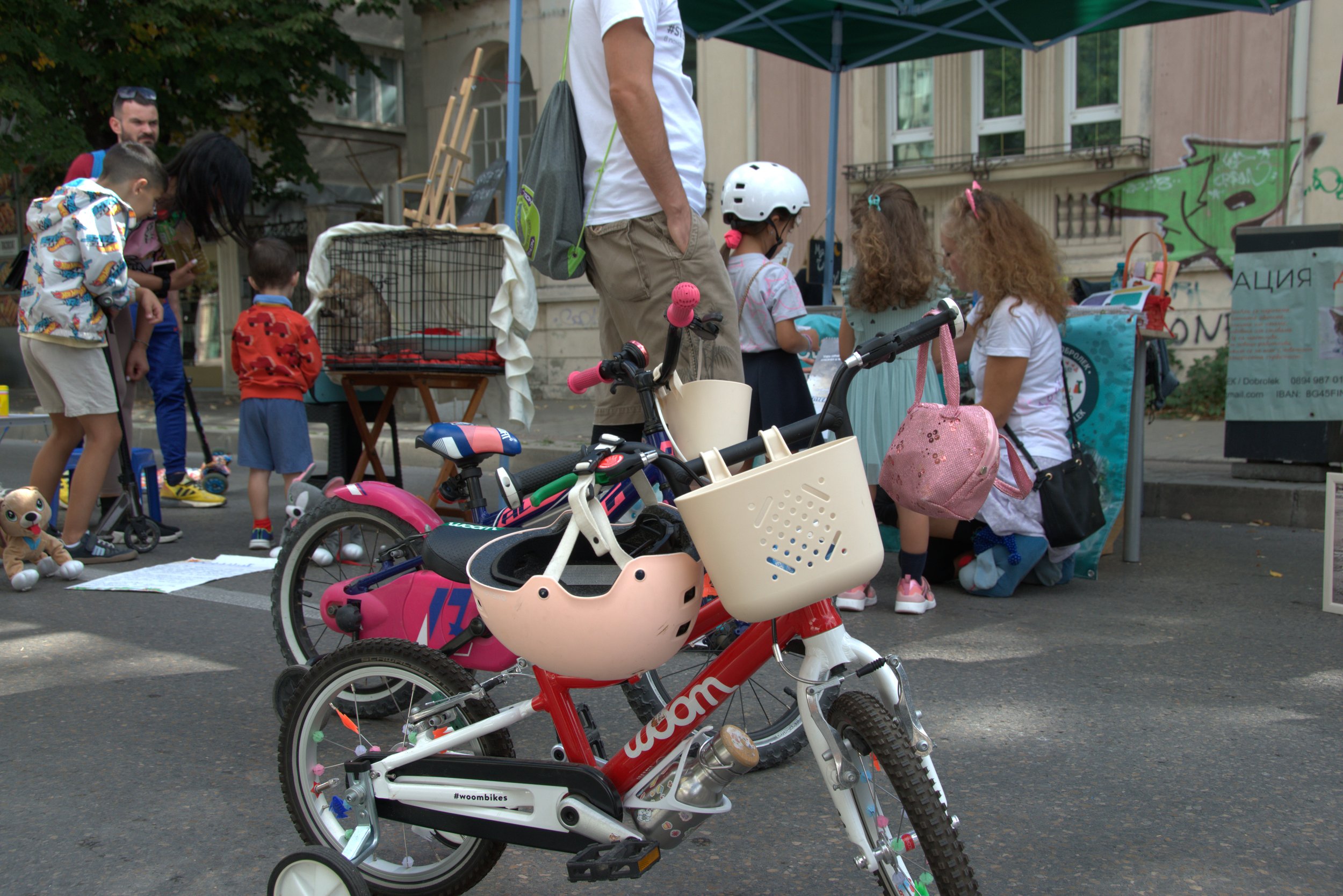 Copy of DSC_0050.jpg