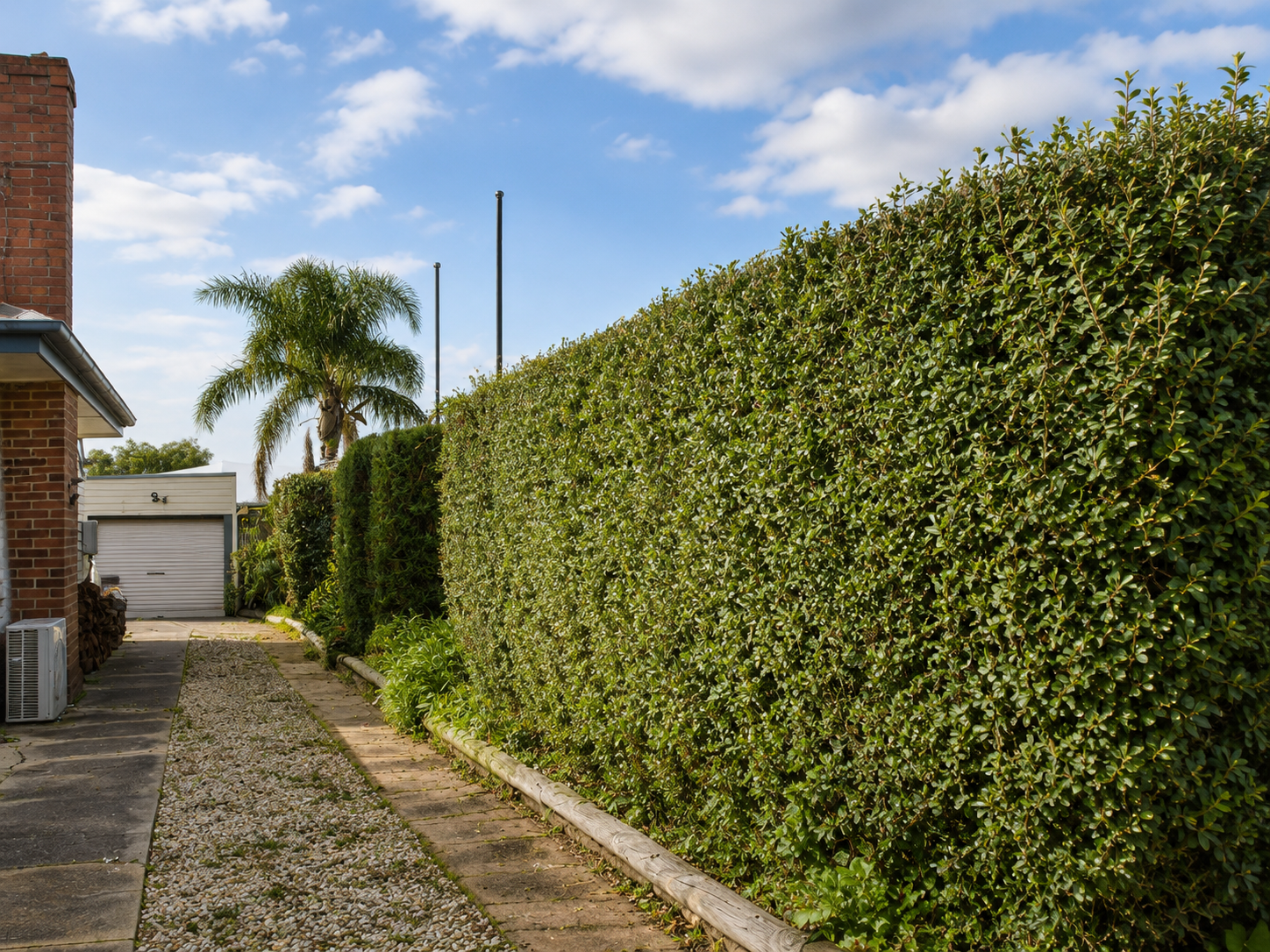 Hedge Trimming & Maintenance