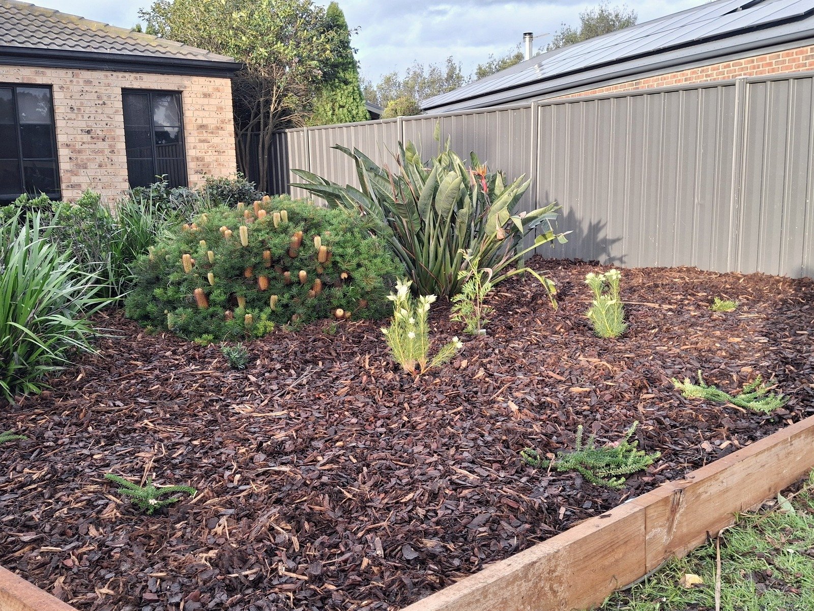 Kerb Appeal Garden