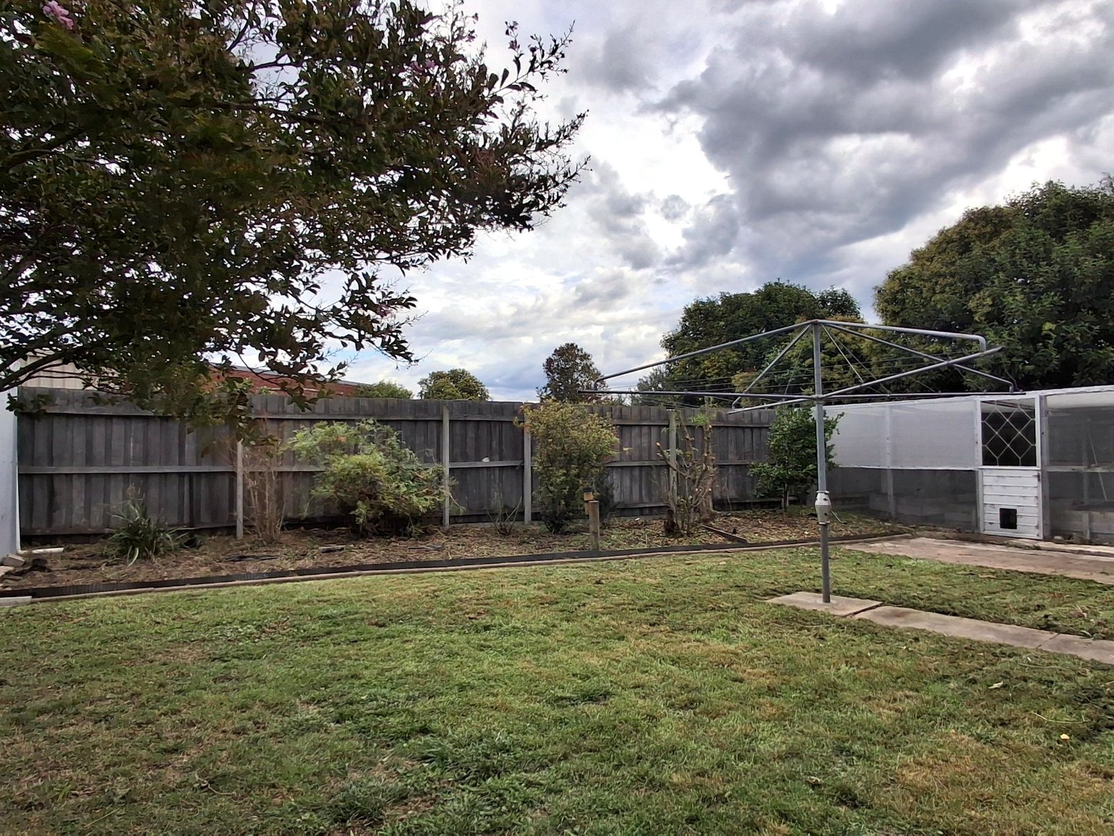Overgrown Garden Clean-Up