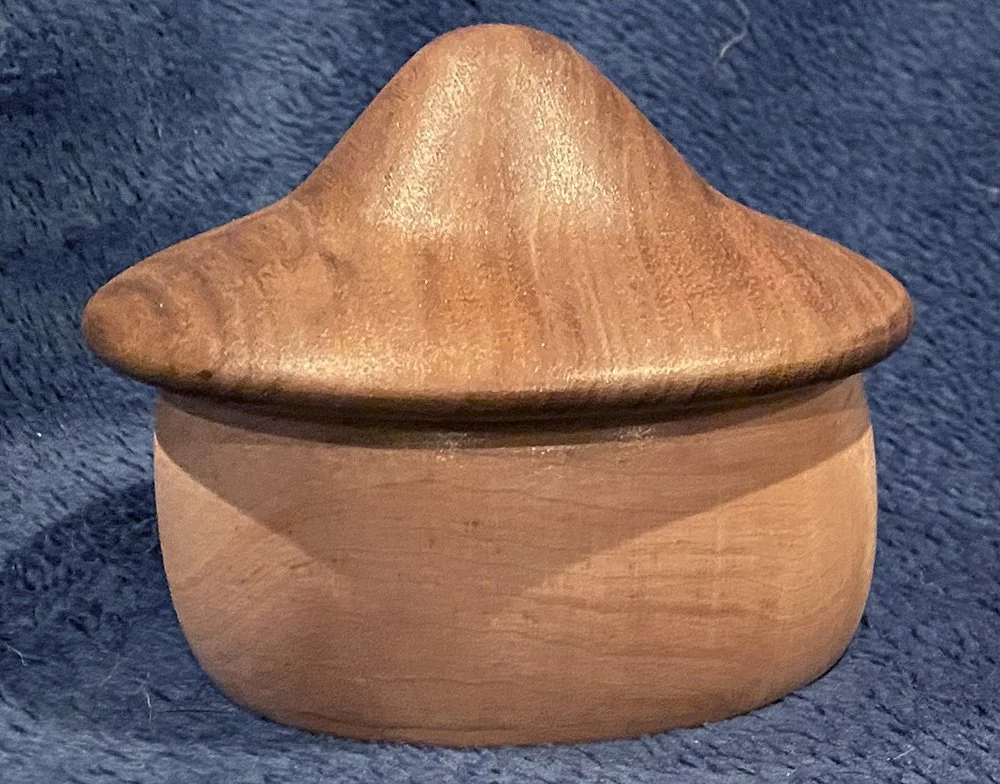 20211113_dnd_mushroom-02.jpg