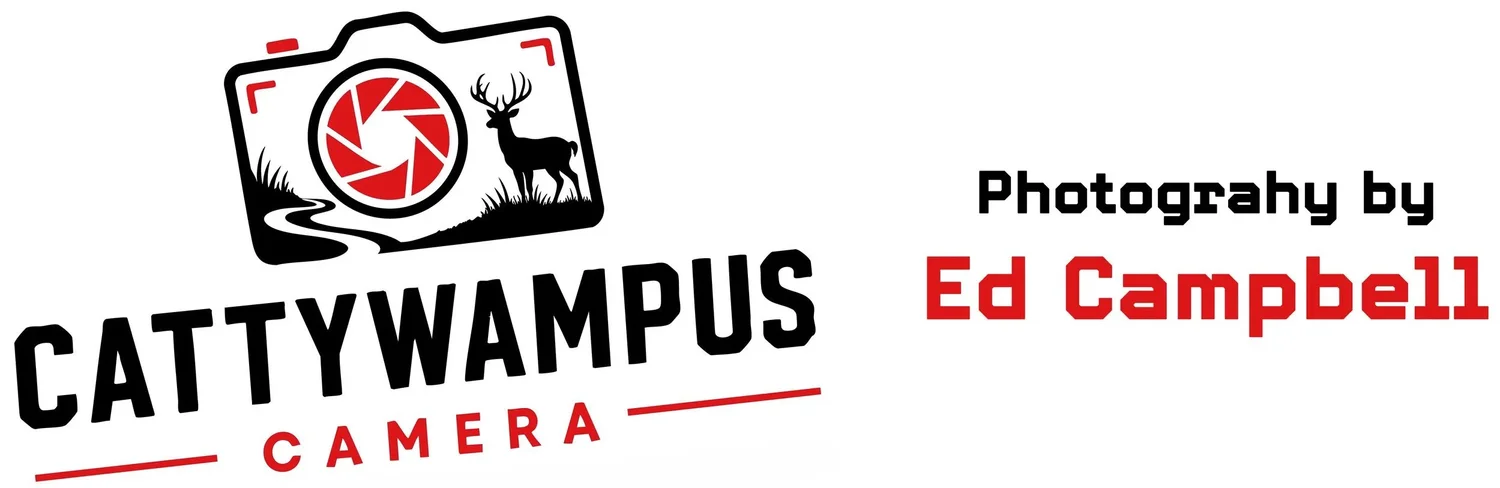 Cattywampus Camera: Photography by Ed