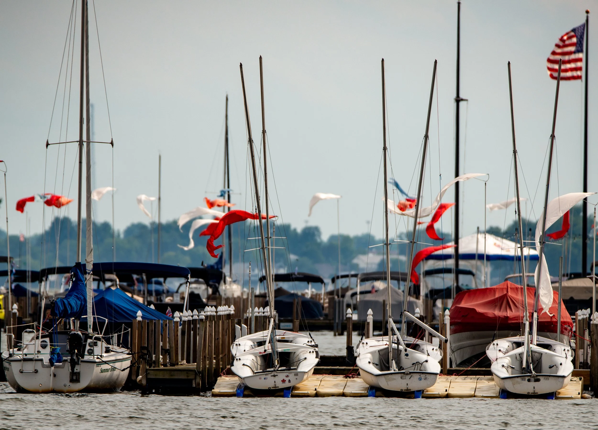 Boats docked at a marina with American flags flying on some of the masts.