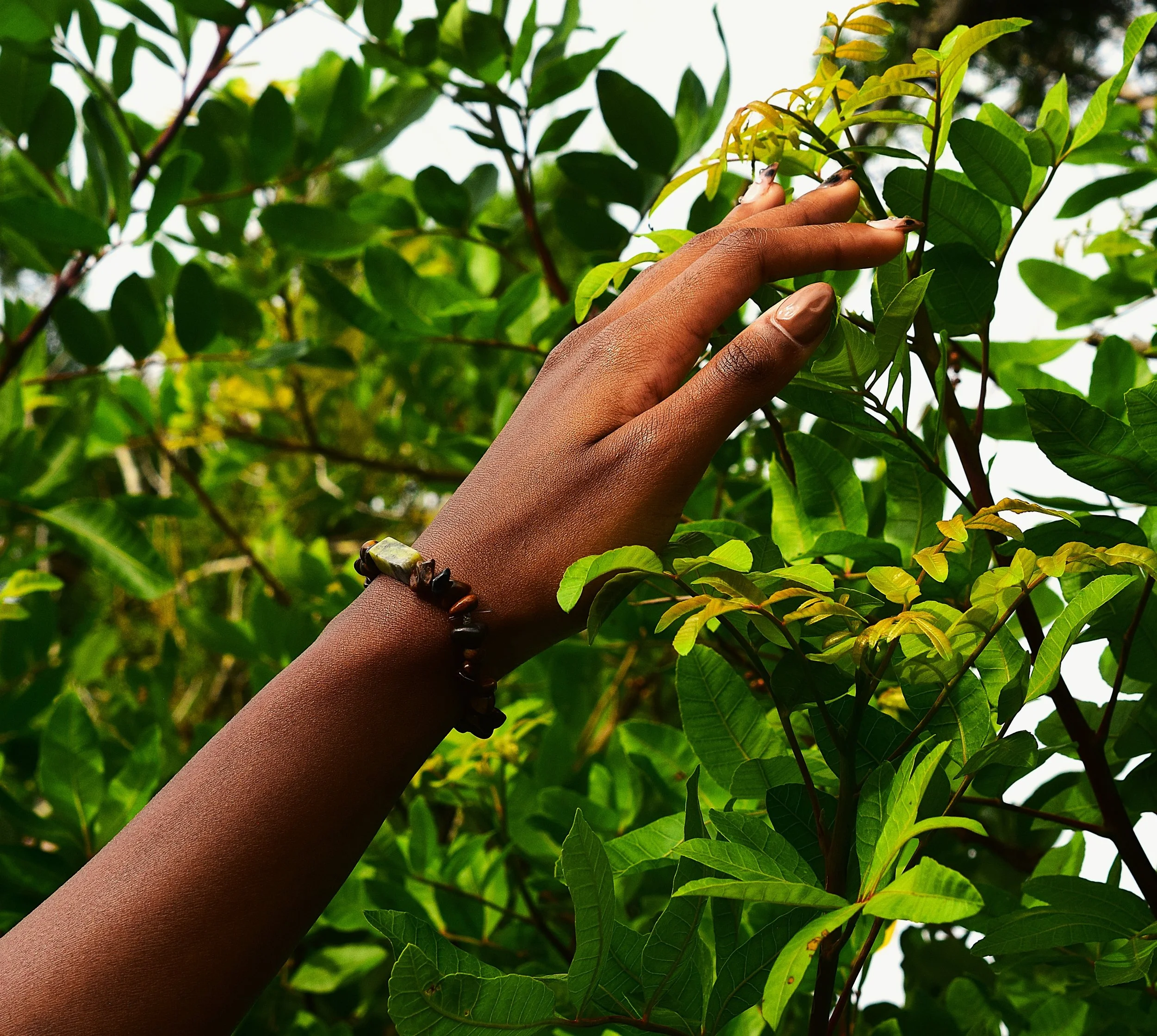 DSC_0550sitecover.JPG