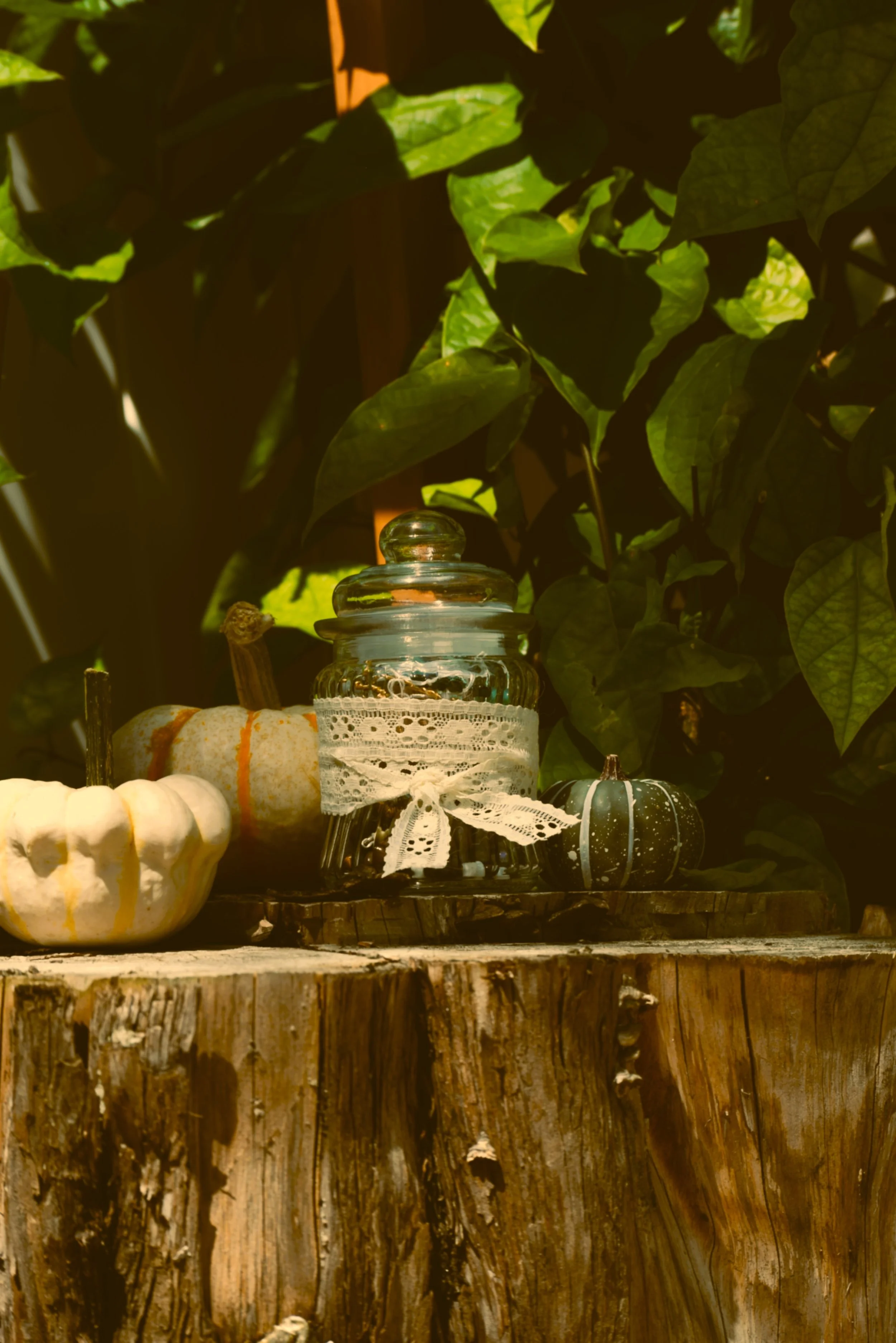 BIG All Gold Jewelry Jar