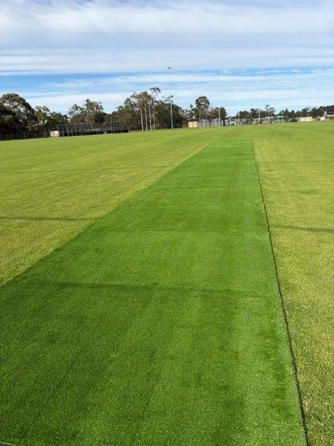 A baseball field with freshly mowed grass and a clear blue sky.