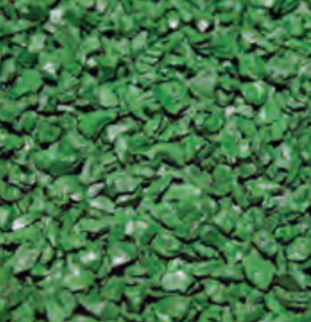 Close-up of a green, leafy ground cover
