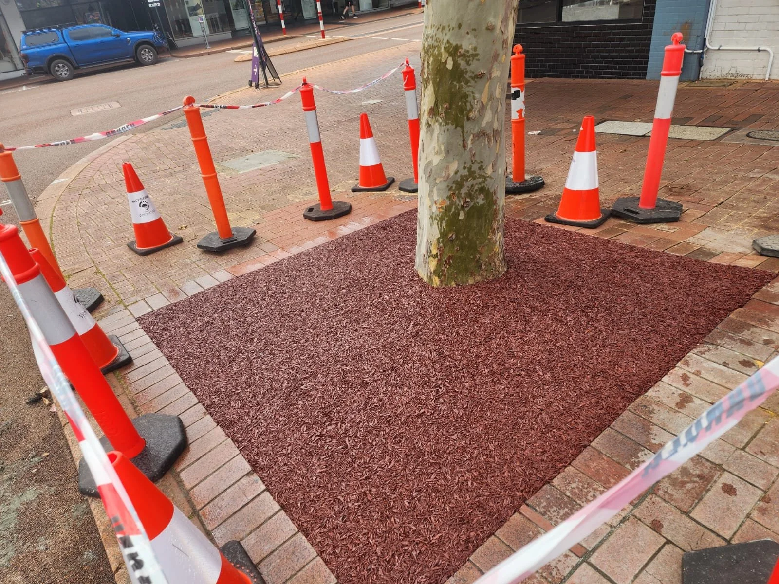 Construction site on sidewalk with orange and white traffic cones and barricade tape around a red textured area. A tree is in the middle of the space, with brick and paved sidewalk, and a street with parked cars in the background.