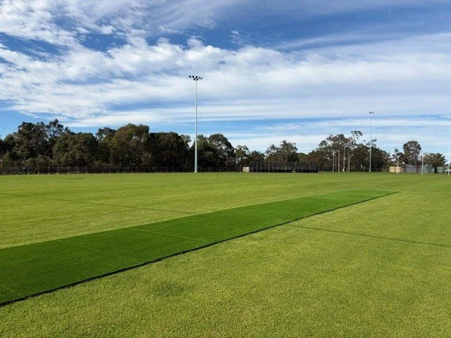 A large outdoor sports field with green grass, floodlights, and trees in the background under a partly cloudy sky.