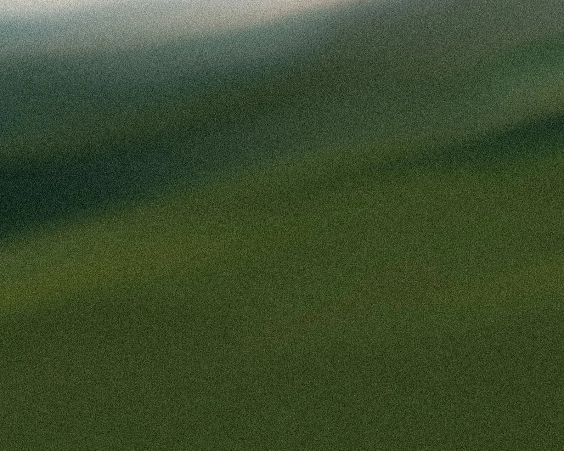 Close-up of a green leaf with textured surface and visible veins.