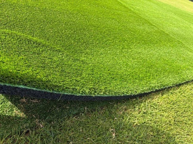 Close-up of a green golf course putting green edge with a black border and surrounding grass.