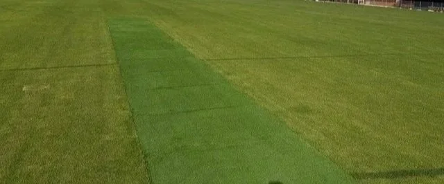 A large grassy field with sections of different shades of green grass, likely a sports field or park.