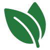 Two green leaves