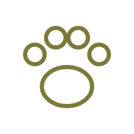 Illustration of a paw print with a large oval pad and five circular toe pads.