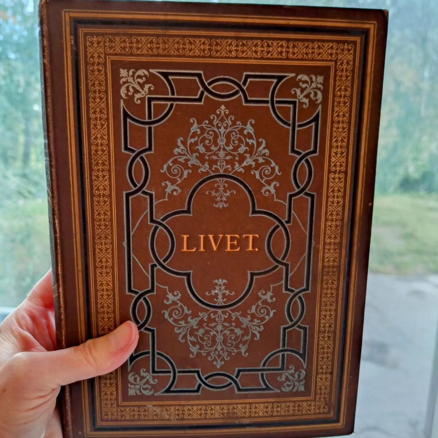 Bok med tittelen "LIVET" i gullfargede bokstaver, dekorert med ornate detaljer på brun bakgrunn.