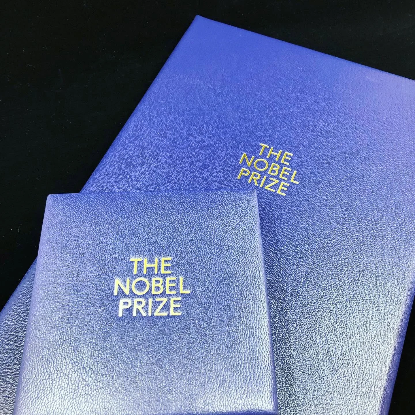 To blå bøker med teksten "The Nobel Prize" i gull på forsiden.