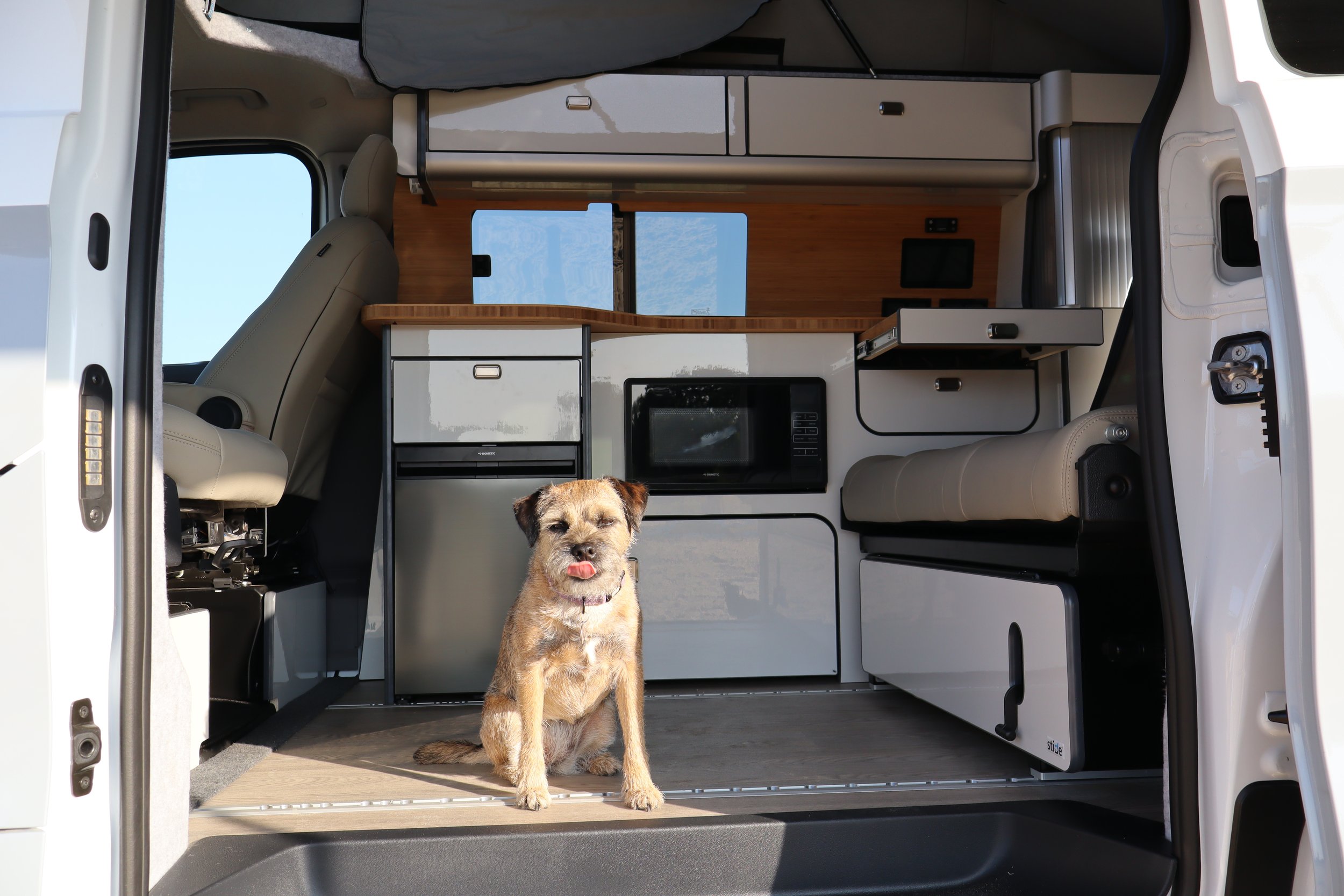 A small dog with brown fur and a pink collar sitting inside the open back of a camper van, with mountains and blue sky visible through the window behind.