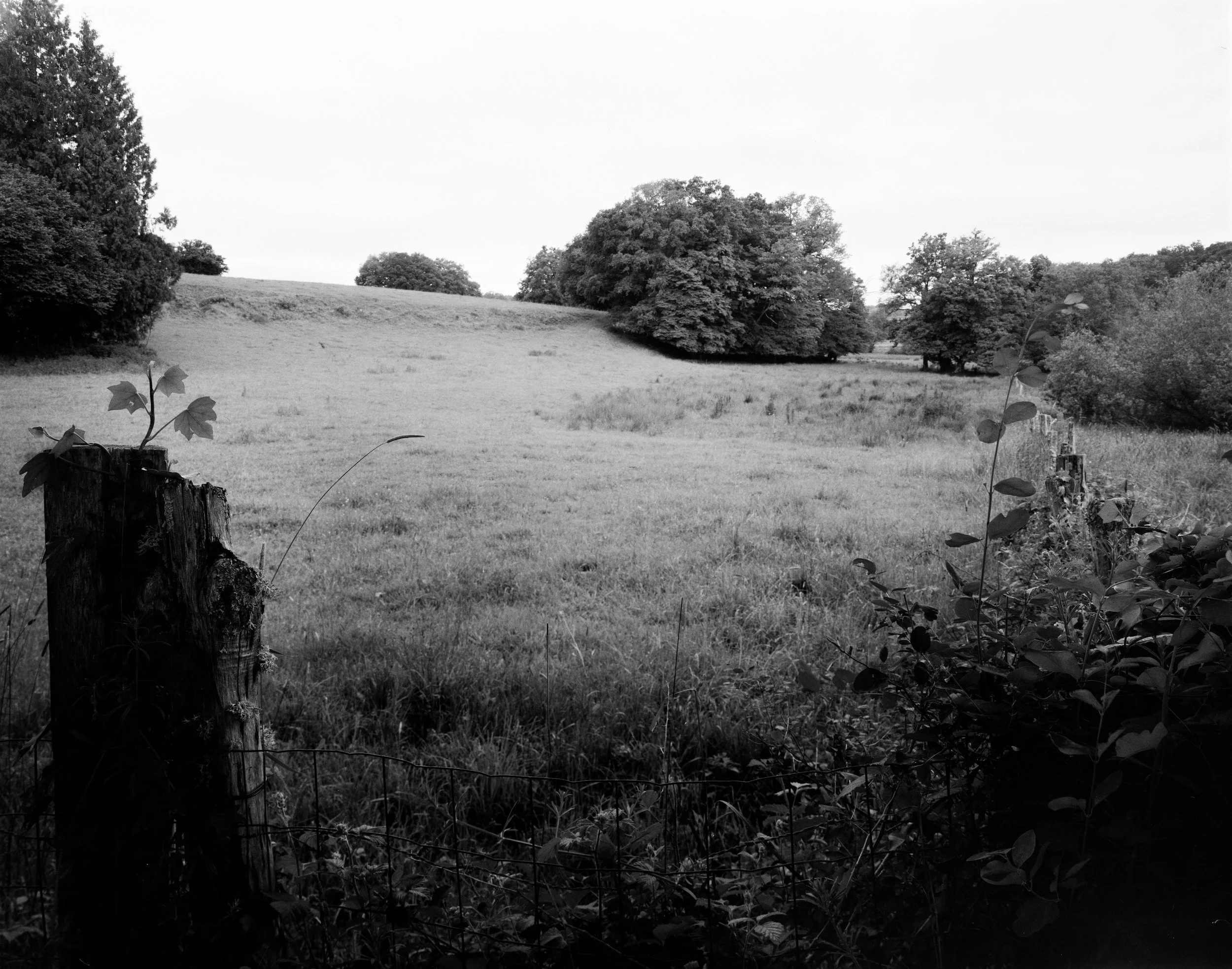 A black-and-white photograph of a rural landscape with open grassy fields, scattered trees, and a cloudy sky. In the foreground, there are some plants and a weathered fence post.
