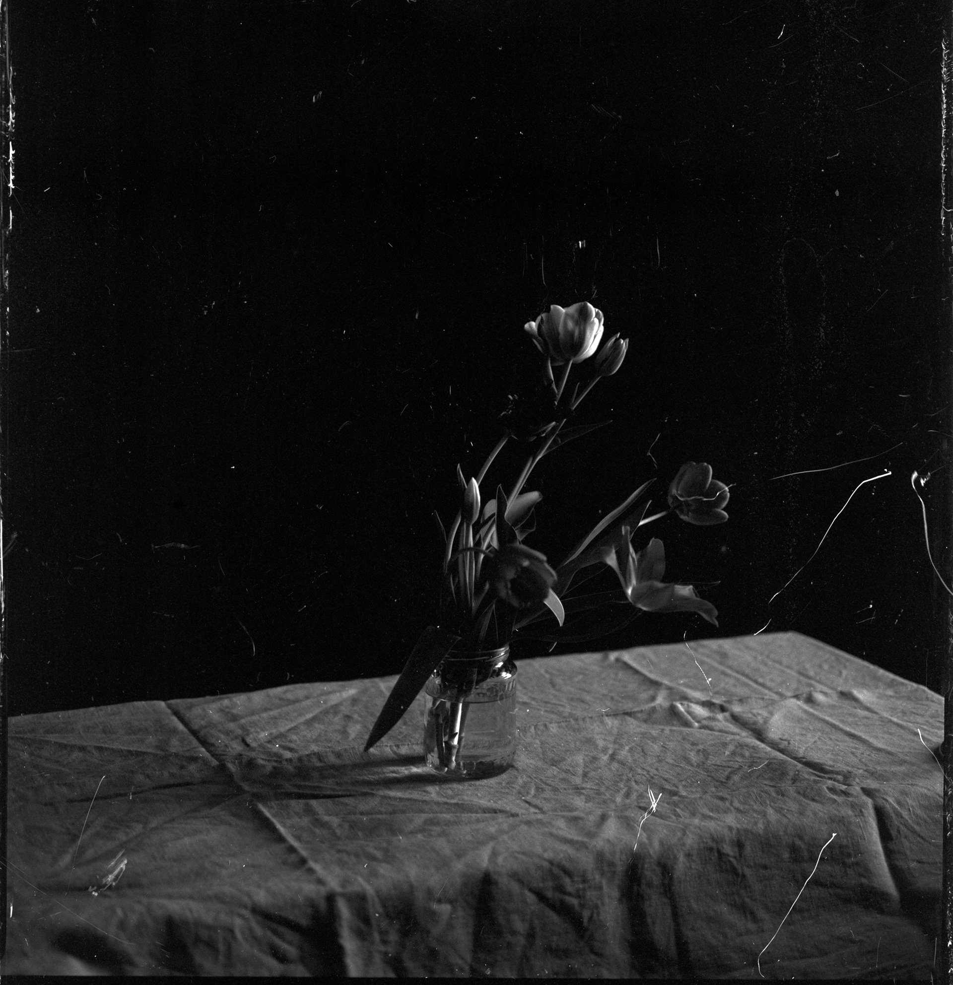fed117ab-03e9-4977-8662-bb175f205c03_rw_1920.jpg
