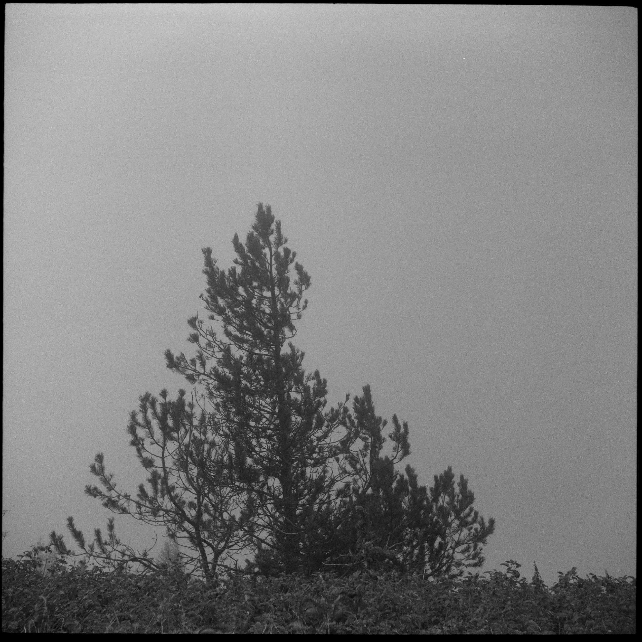 M626-002-DDO06715_PSMS-Modifier.jpg