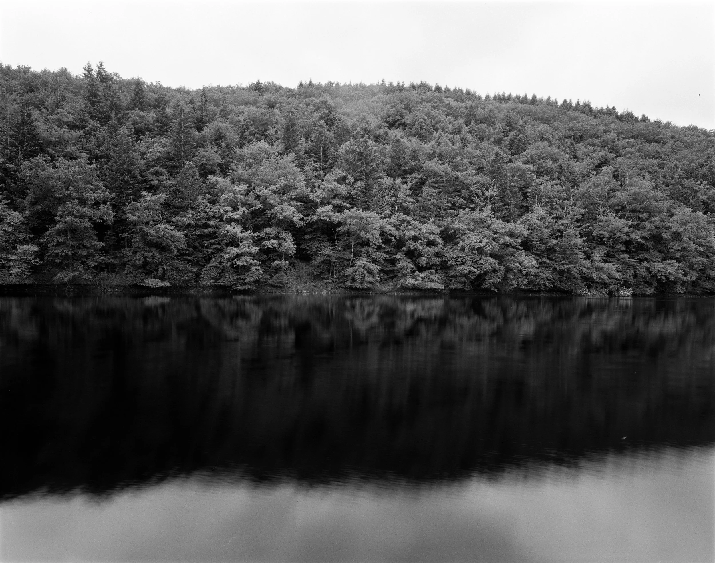 Black and white photo of a forested hillside reflected in a calm body of water.