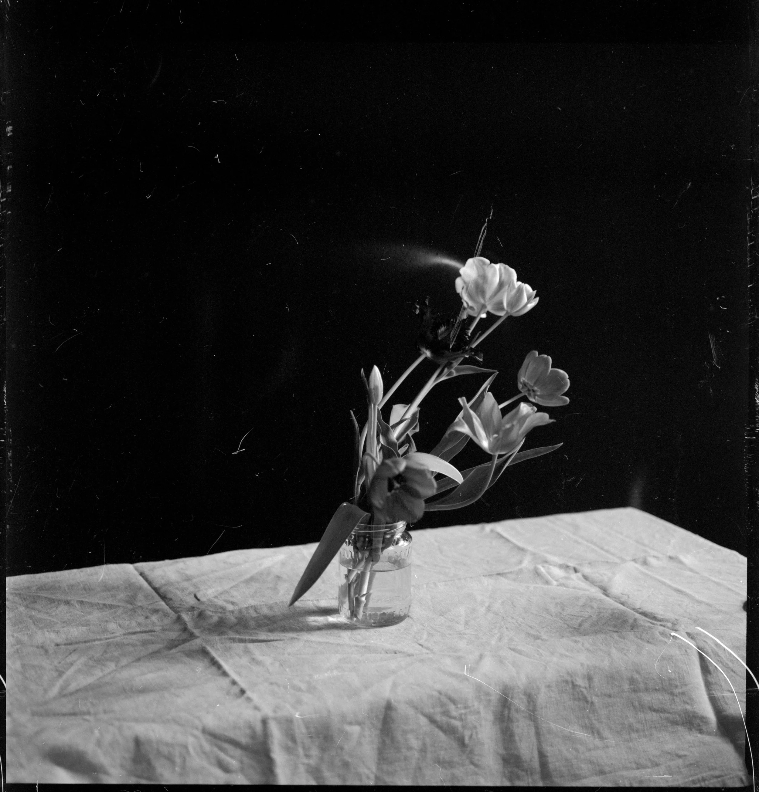 f31978ae-107f-4339-bf2f-4c31536ae7c5_rw_3840.jpg