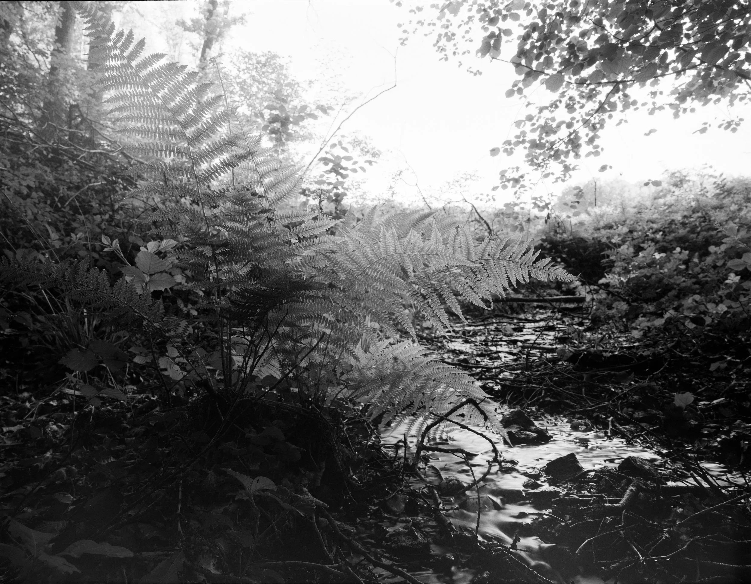 2026.05.22(9)00001.jpg