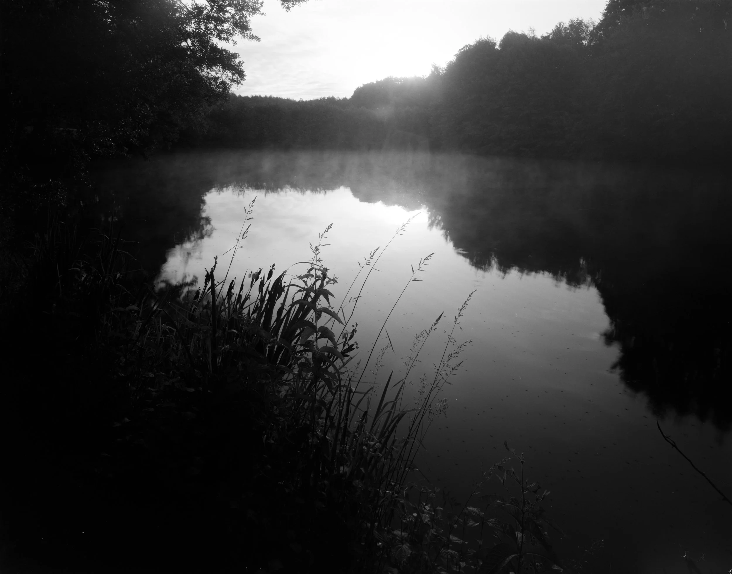 Black and white photo of a calm pond surrounded by trees with the sun setting or rising in the background, casting a glow over the water and landscape.
