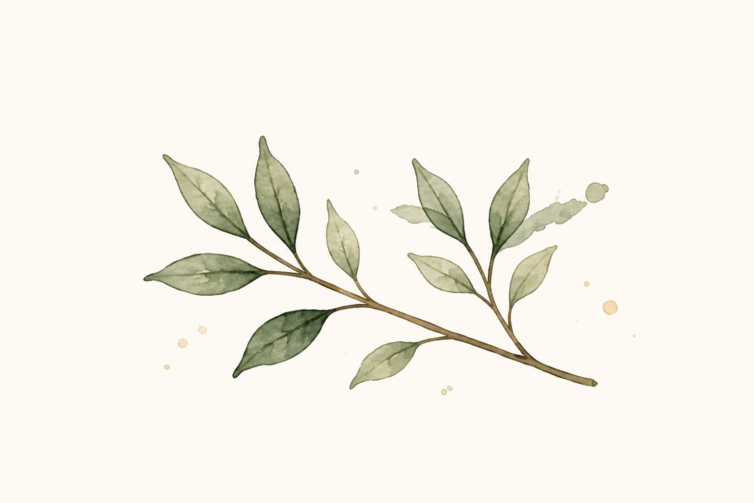 Branche feuillue peinte à l’aquarelle dans des tons verts doux.