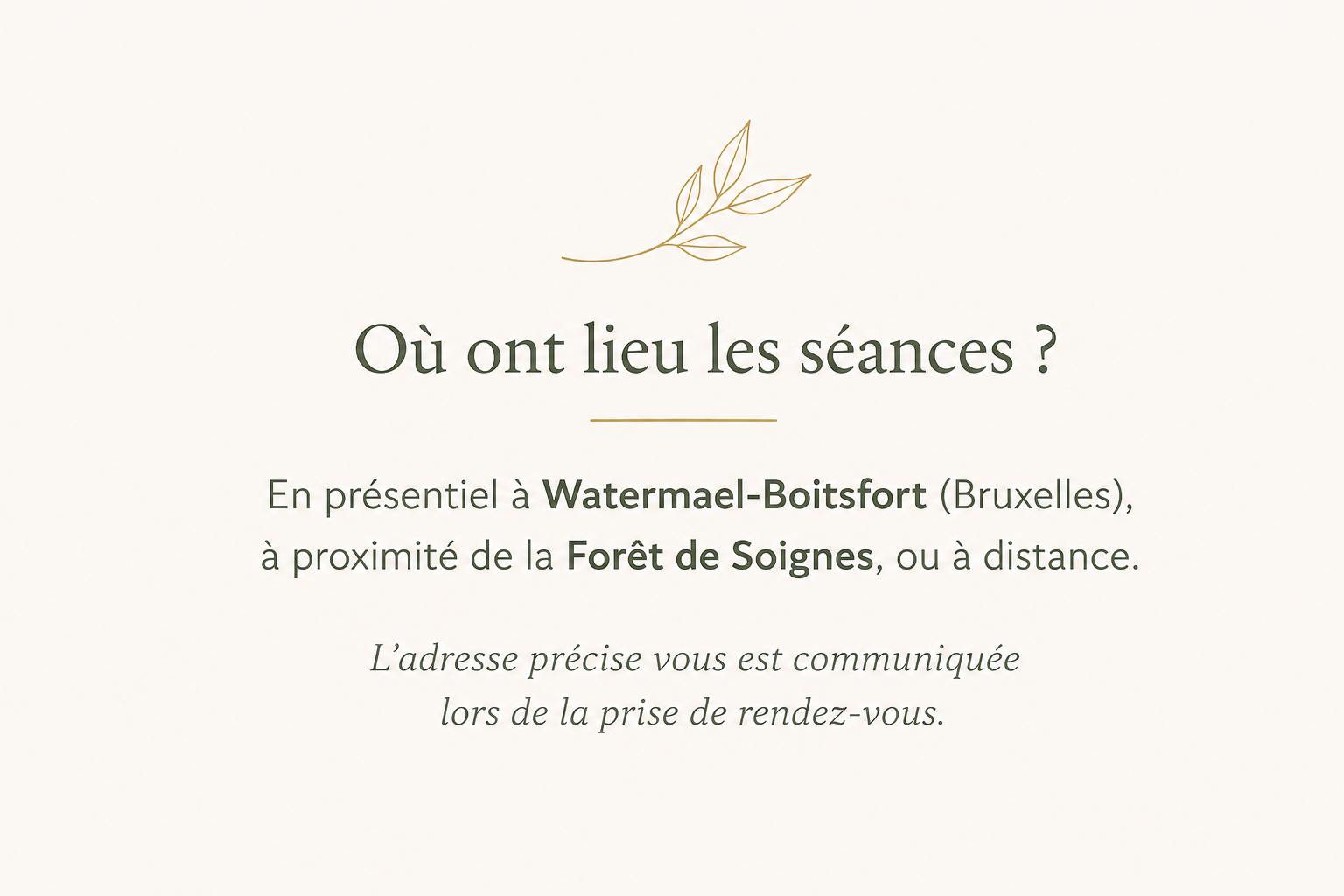 Les séances ont lieu à Watermael-Boitsfort, près de la Forêt de Soignes à Bruxelles, ou à distance.
