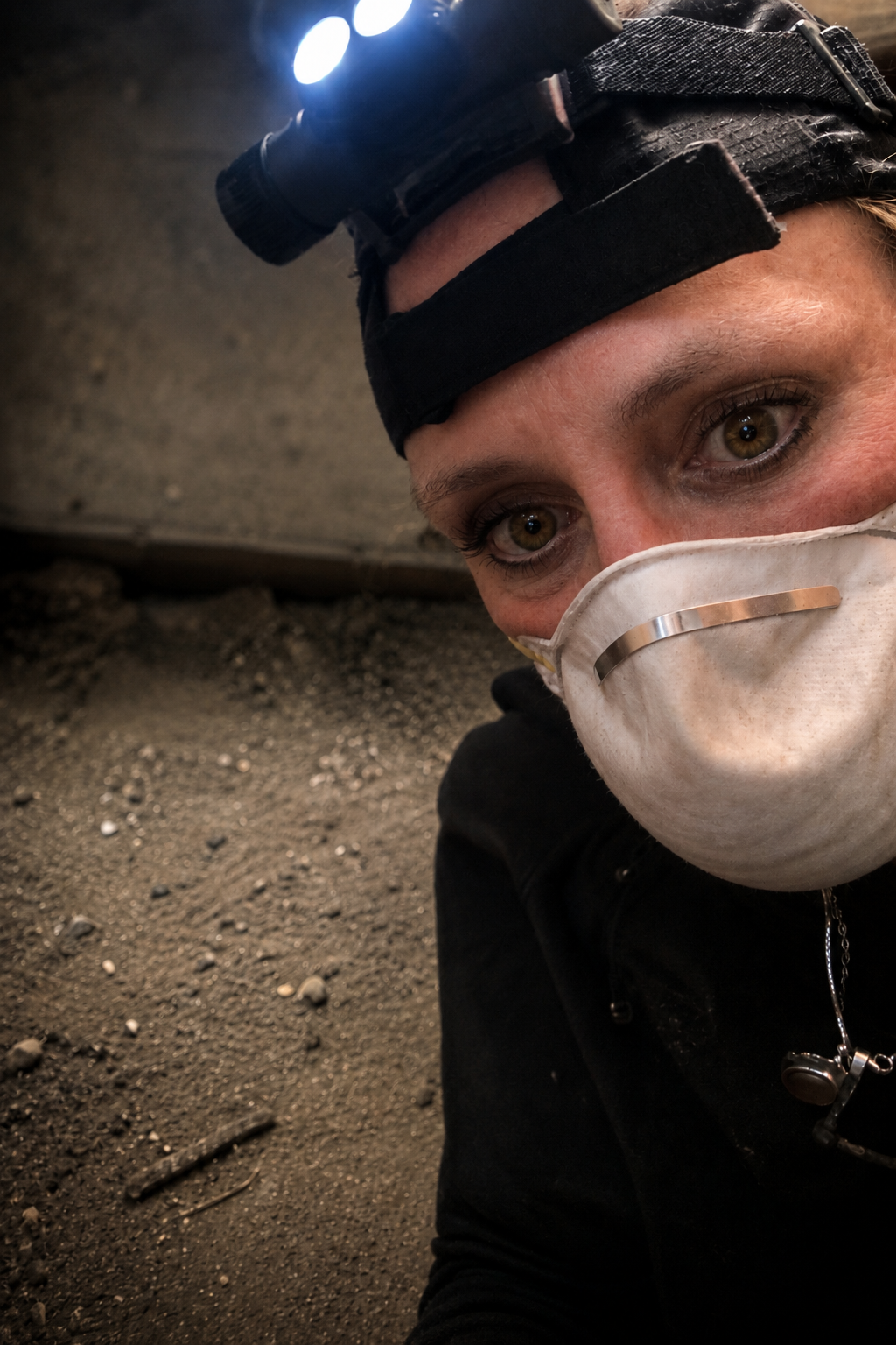 Environmental Testing by Iron Heart Home Inspections