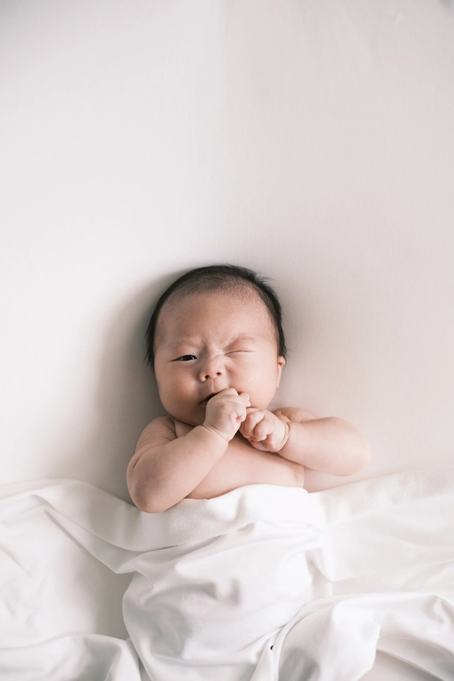 Alfie2.5month-11.jpg