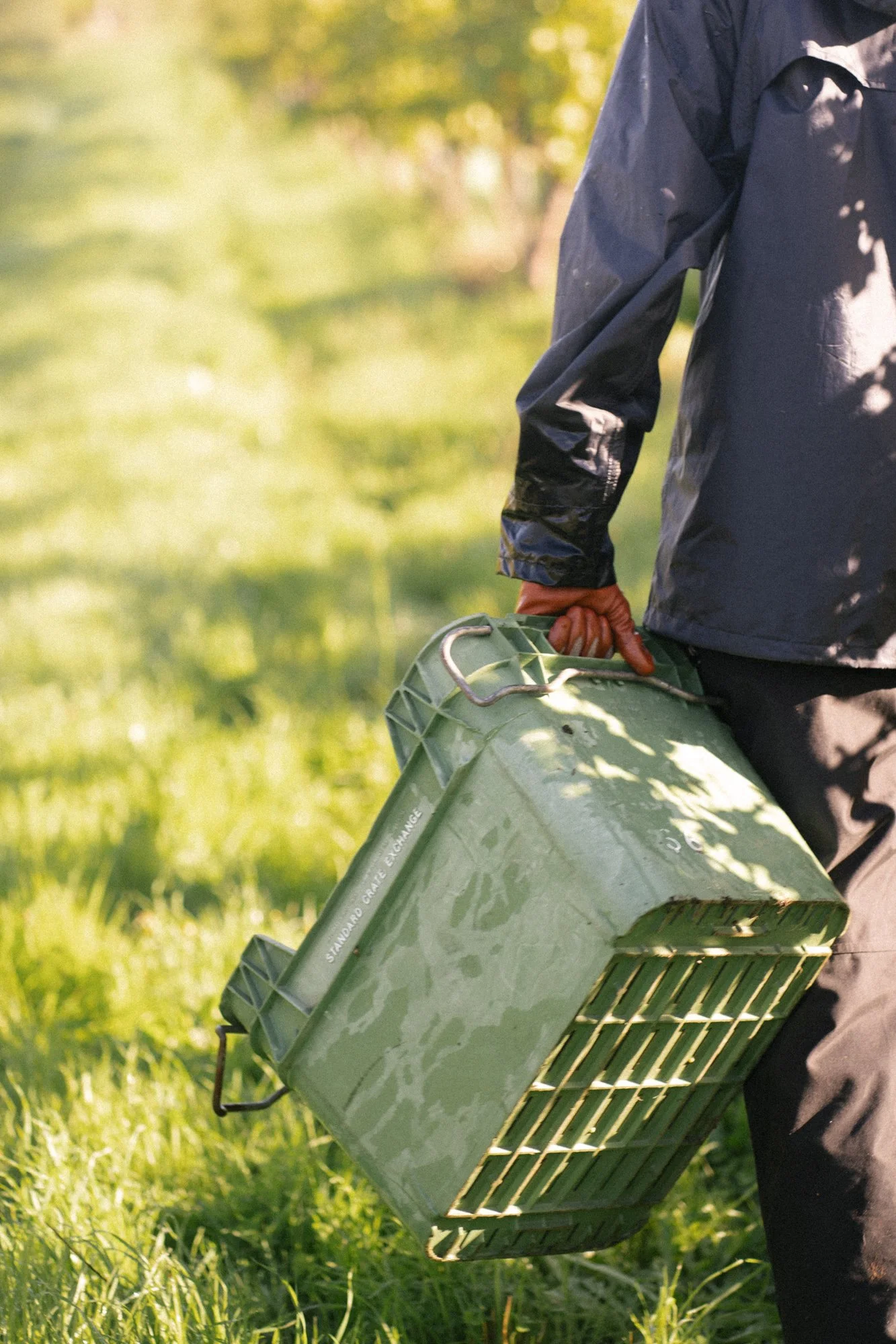 Person holding a green crate in a grassy outdoor area