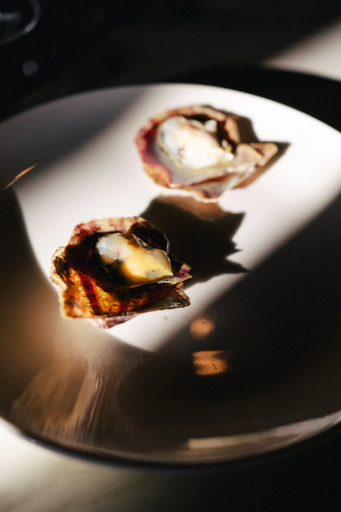 Close-up of two oyster shells on a shiny, reflective surface, with one shell containing an oyster and the other partially visible, illuminated by a shaft of light.