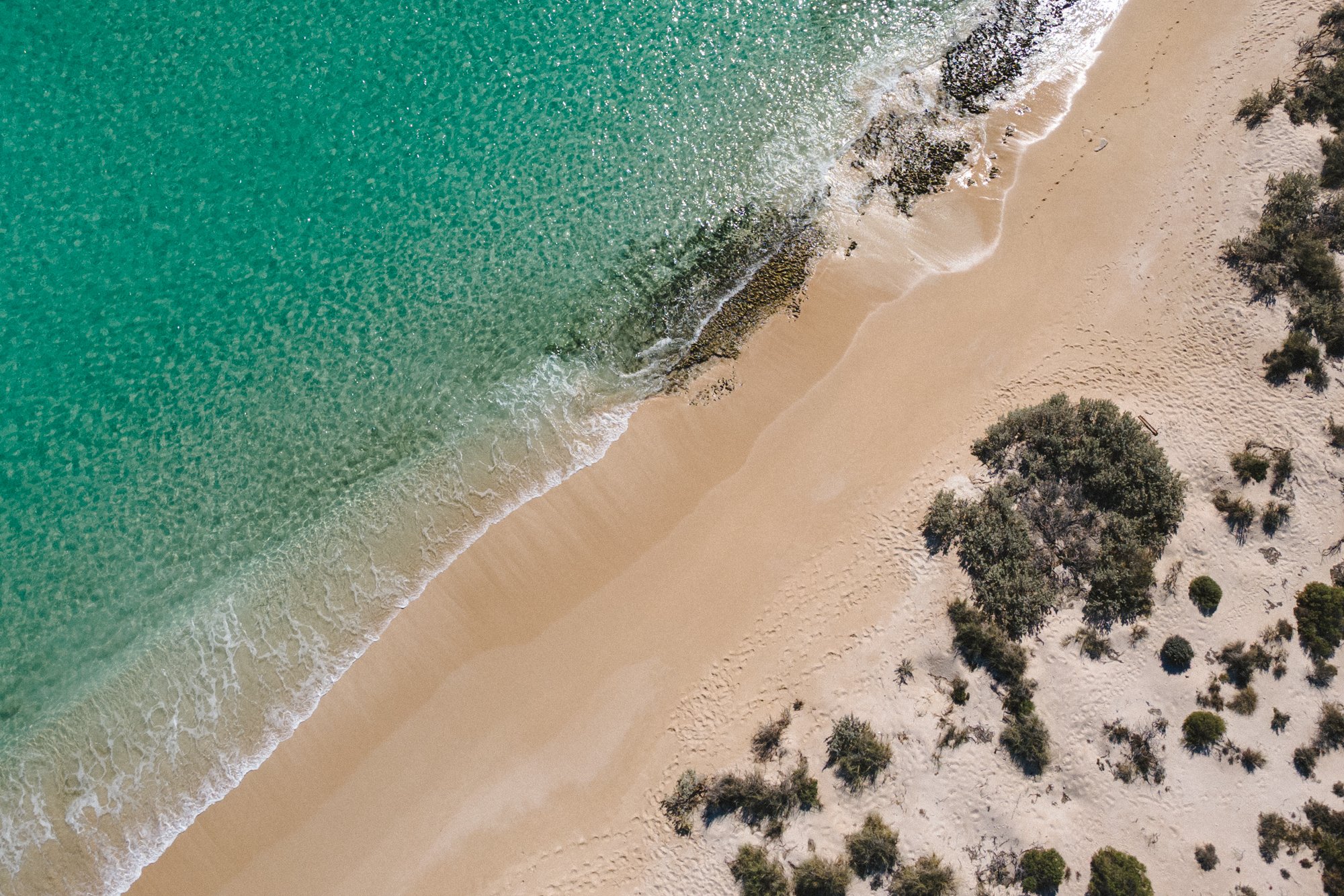 An aerial view of a beach with turquoise water, sandy shore, and scattered trees.