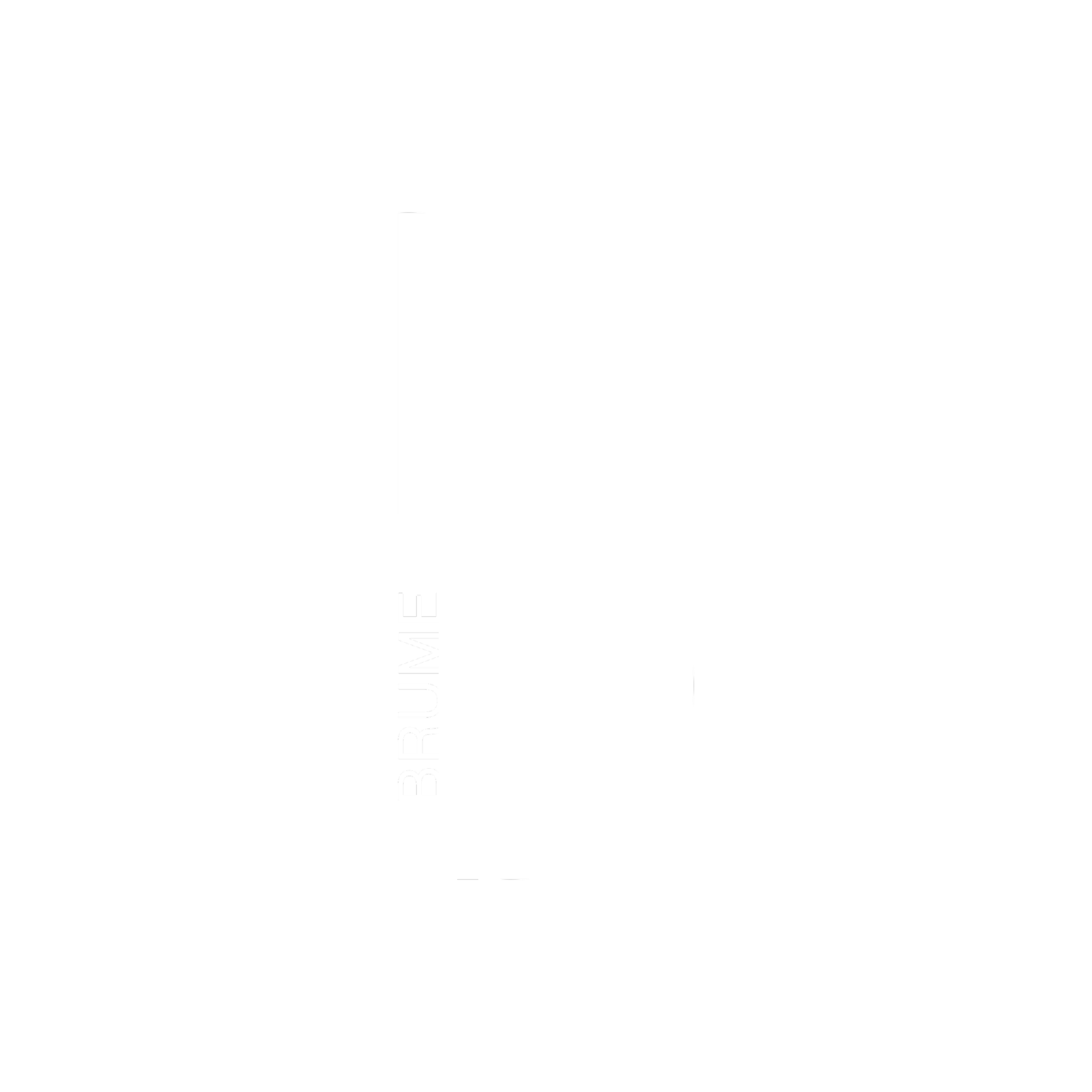 Logo en noir et blanc avec un demi-cercle blanc, une ligne verticale, et le texte "BRUME" écrit verticalement.