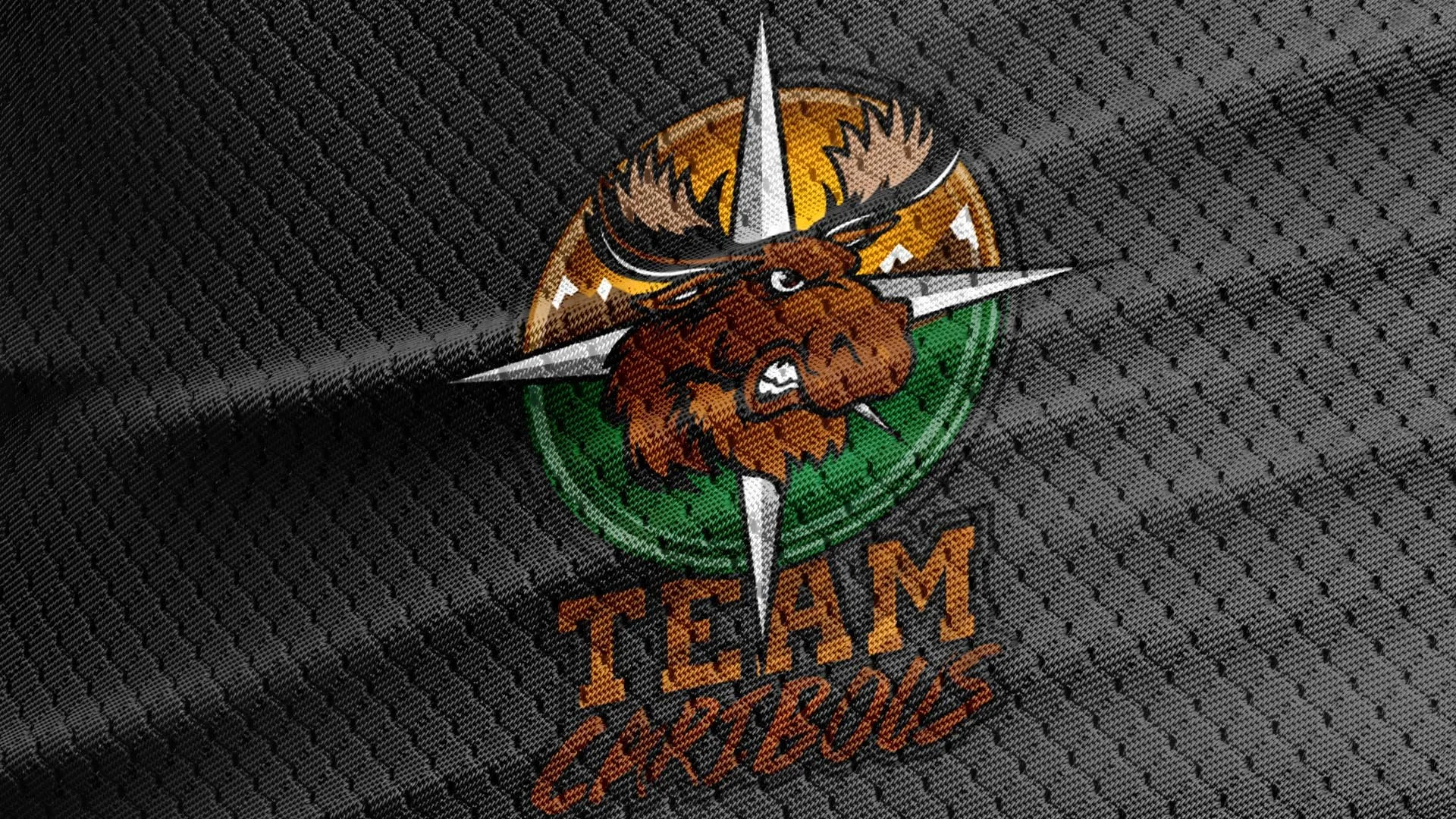 Logo d'une équipe de hockey avec un aigle et une tête de lion, texte 'TEAM TIGRES' sur un fond noir textured.