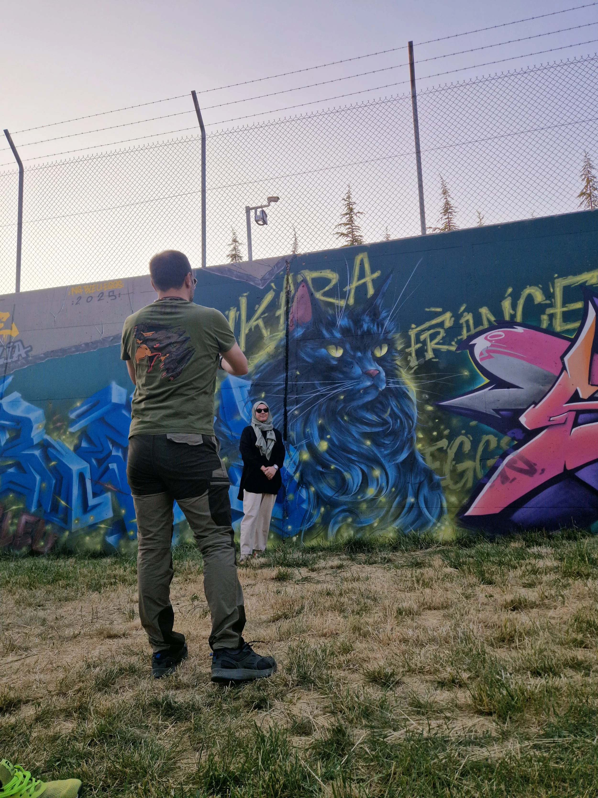 fresque graffiti en turquie ankara, un chat au poil dominant et à l'air fière. eggs studio 