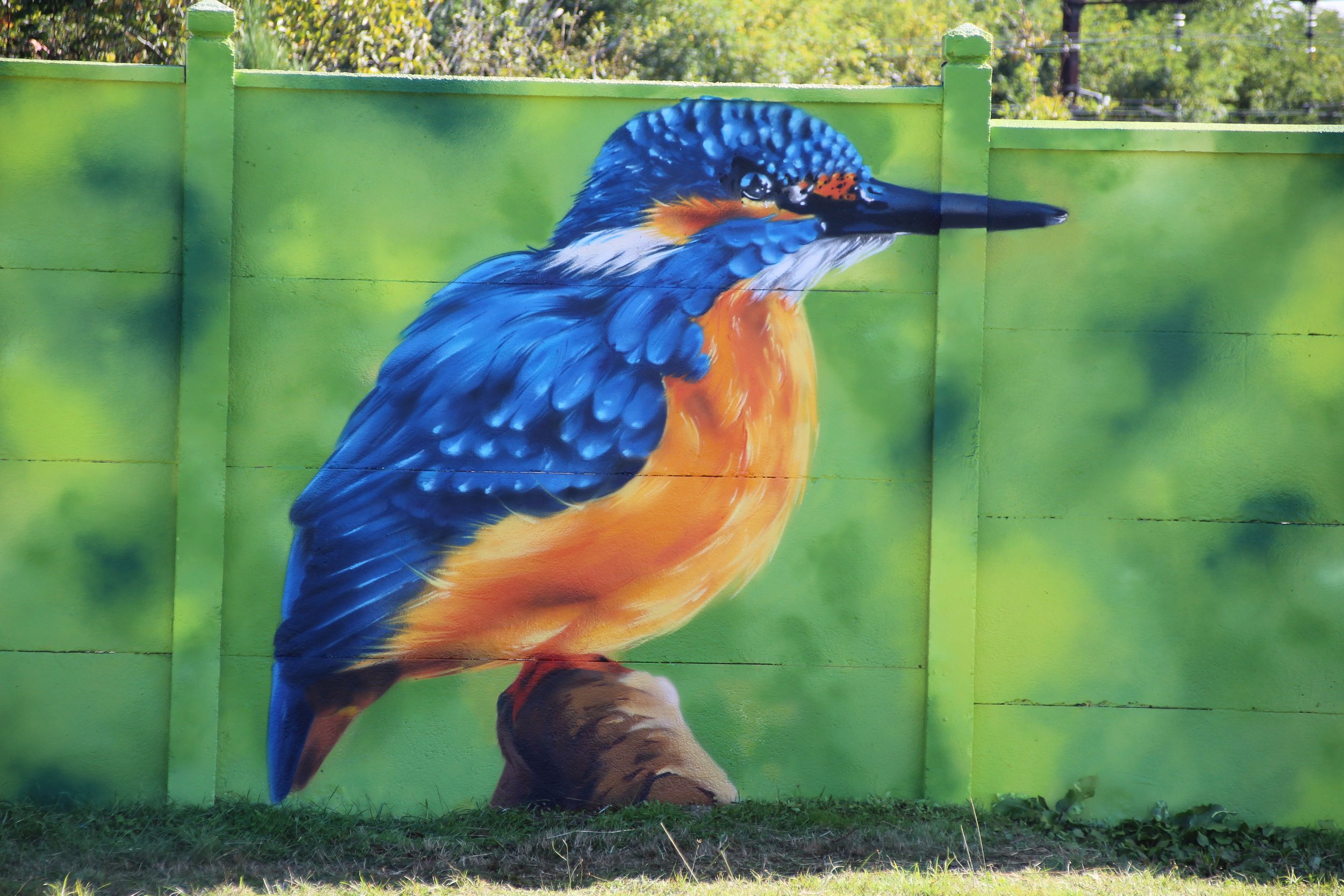 Mural de peinture représentant un aigle royal coloré avec un fond vert.