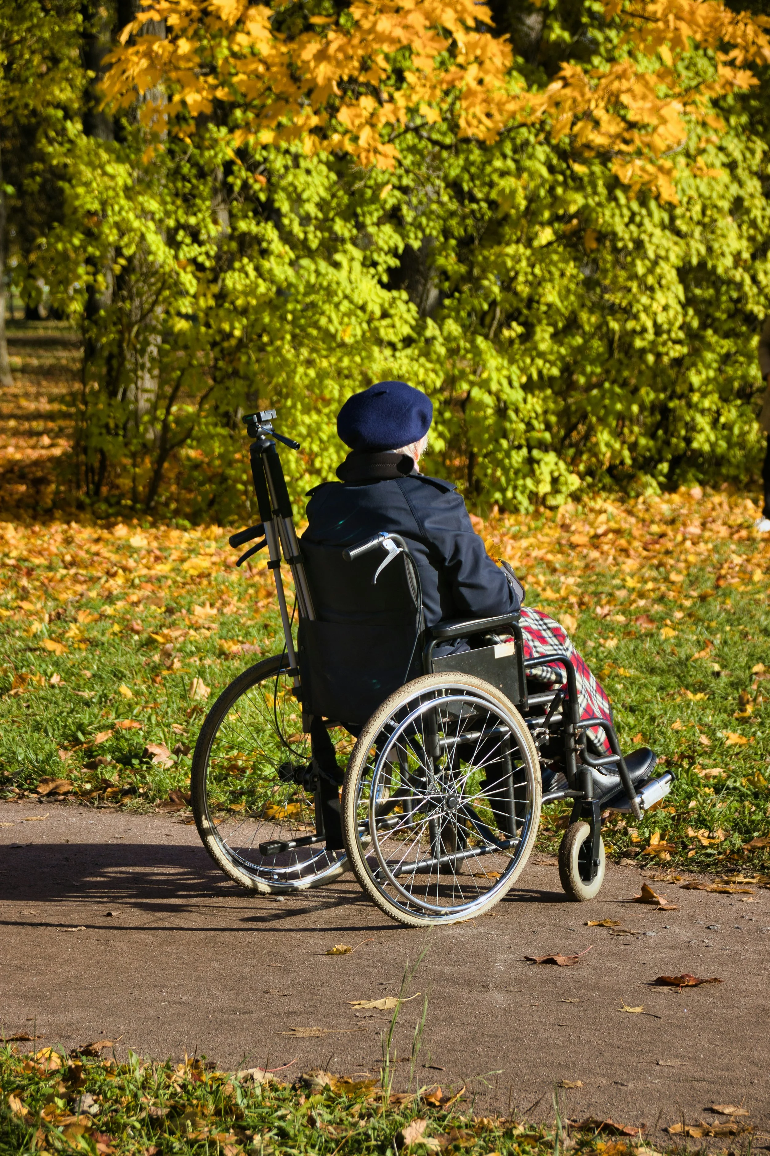 An elderly person sitting in a wheelchair with a tripods in a park with yellow and green fall foliage.