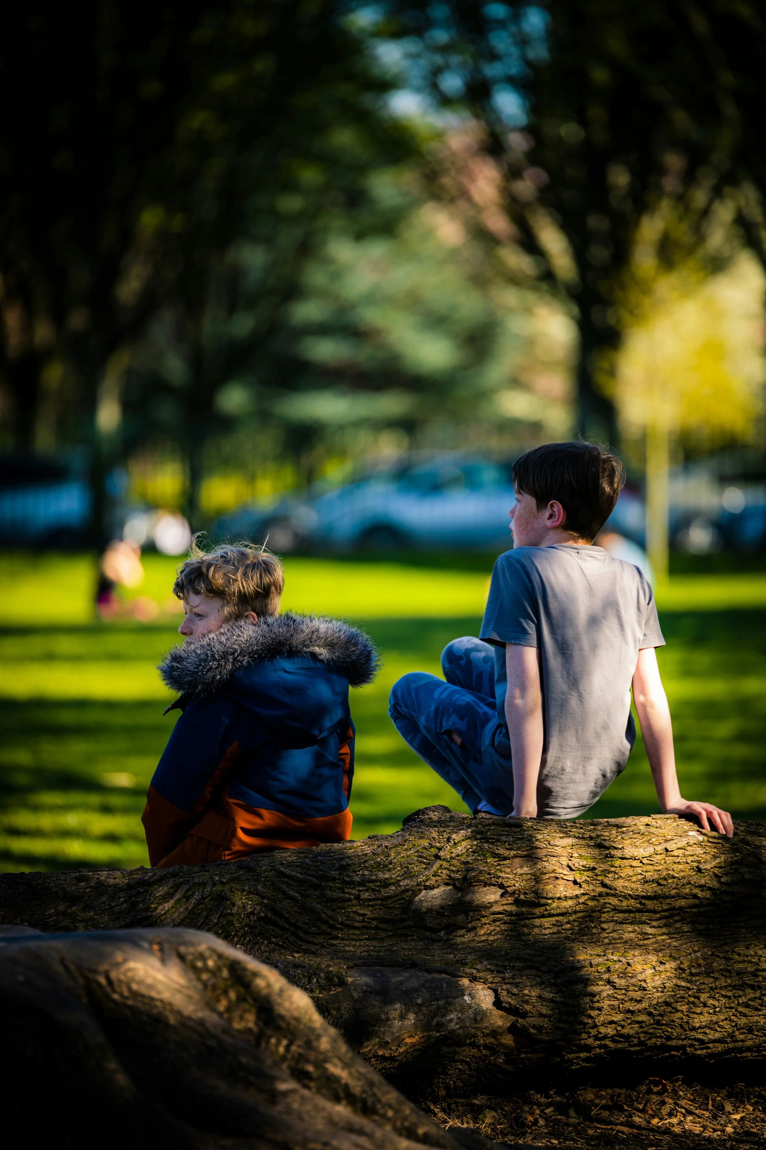 Two boys sitting on a fallen tree trunk in a park during sunset. One boy has curly hair and is wearing a coat with a furry hood, and the other boy has straight hair and is wearing a gray t-shirt and camouflage pants. There are trees and a grassy area with people in the background.
