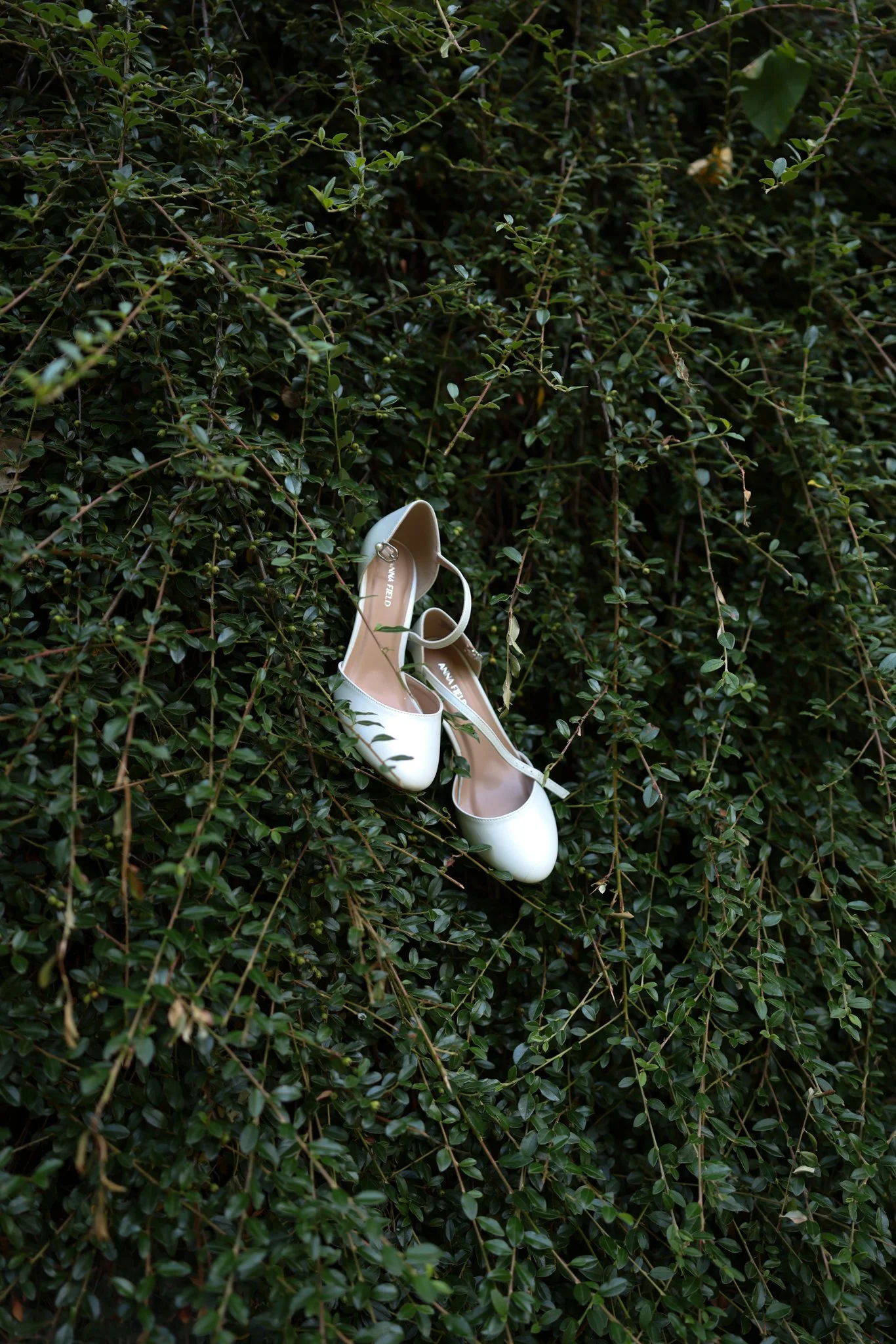 Weiße Brautschuhe mit Absatz hängen dekorativ in einer grünen Hecke.