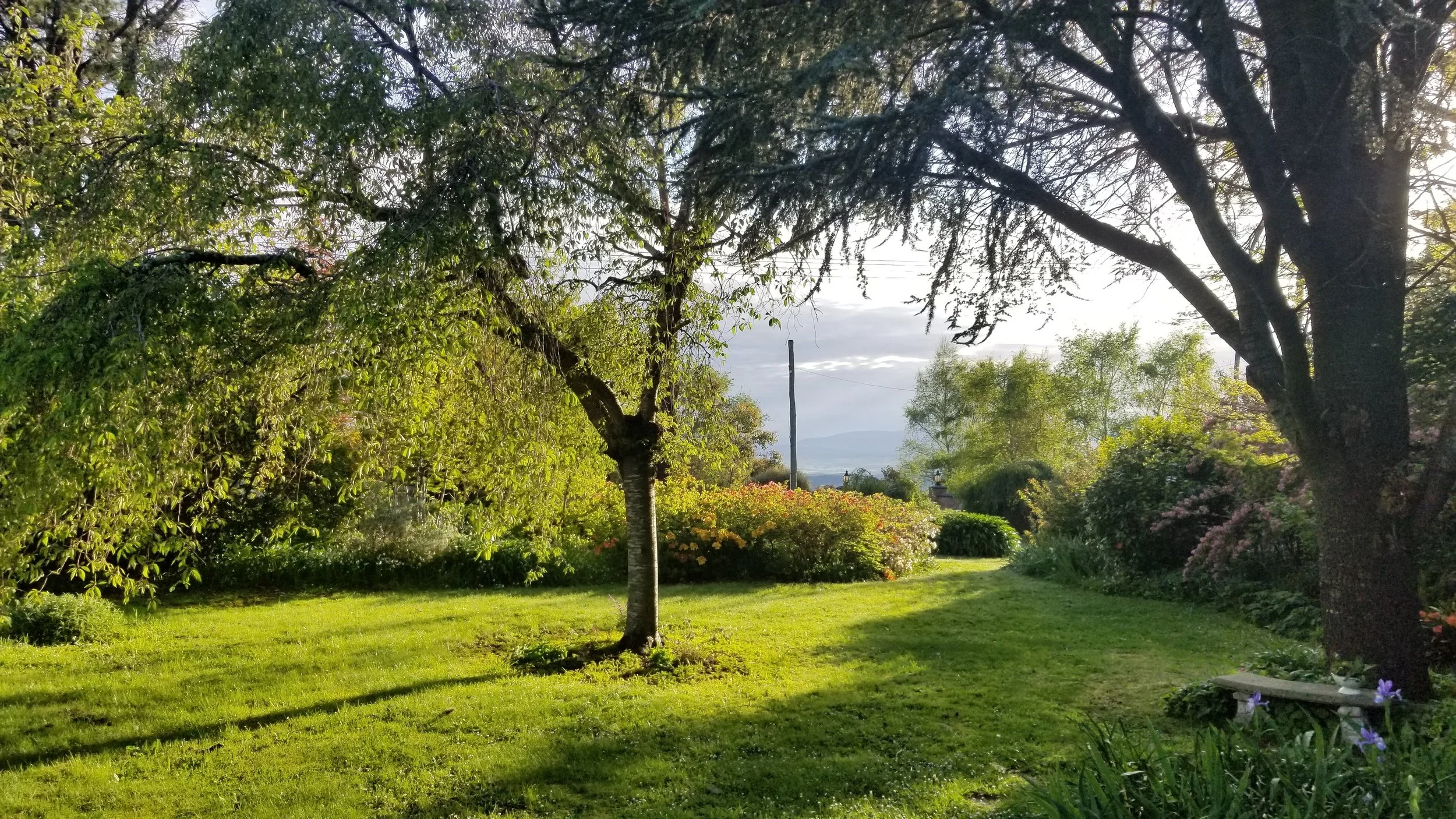 The front garden at Yarra Ranges Healing
