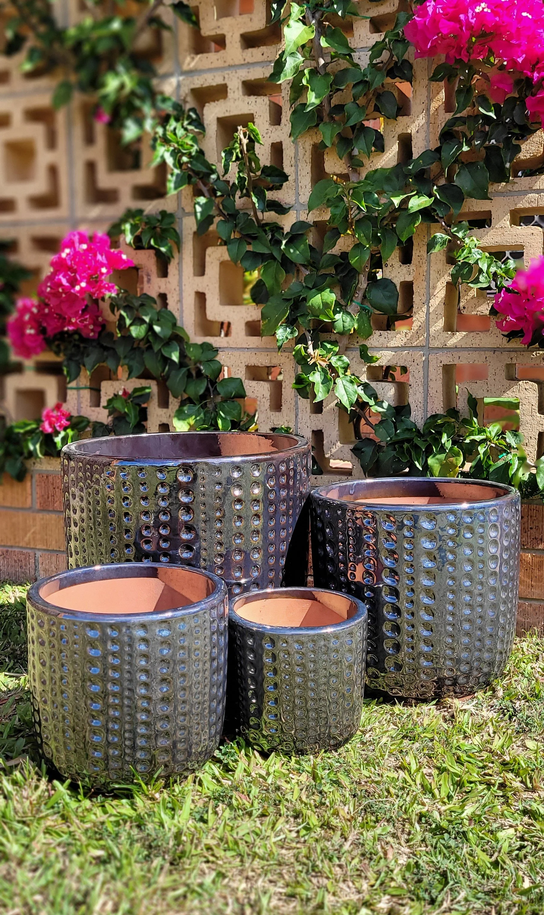 Dot Planter.jpg