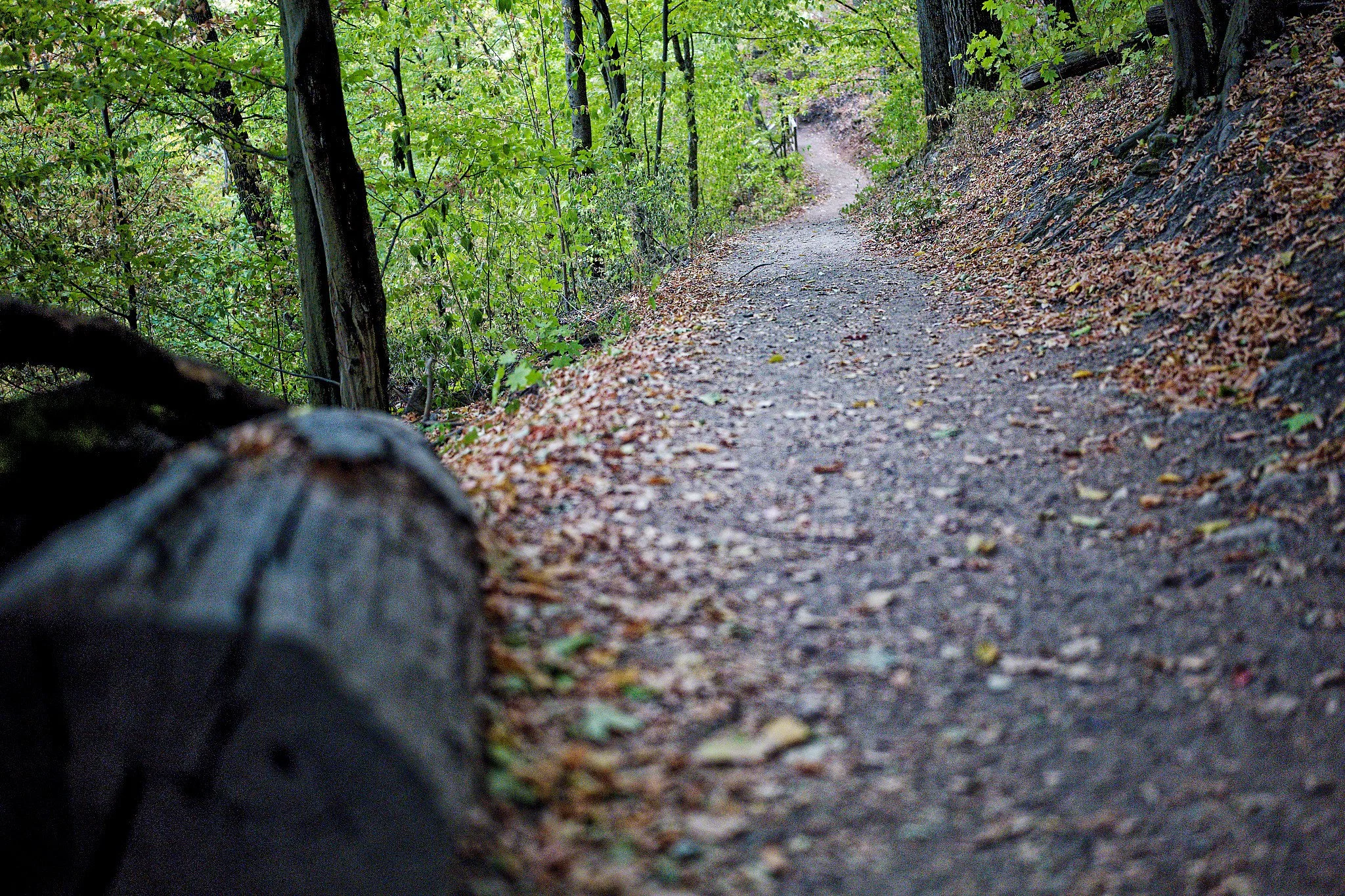 P1001006_DxO.jpg