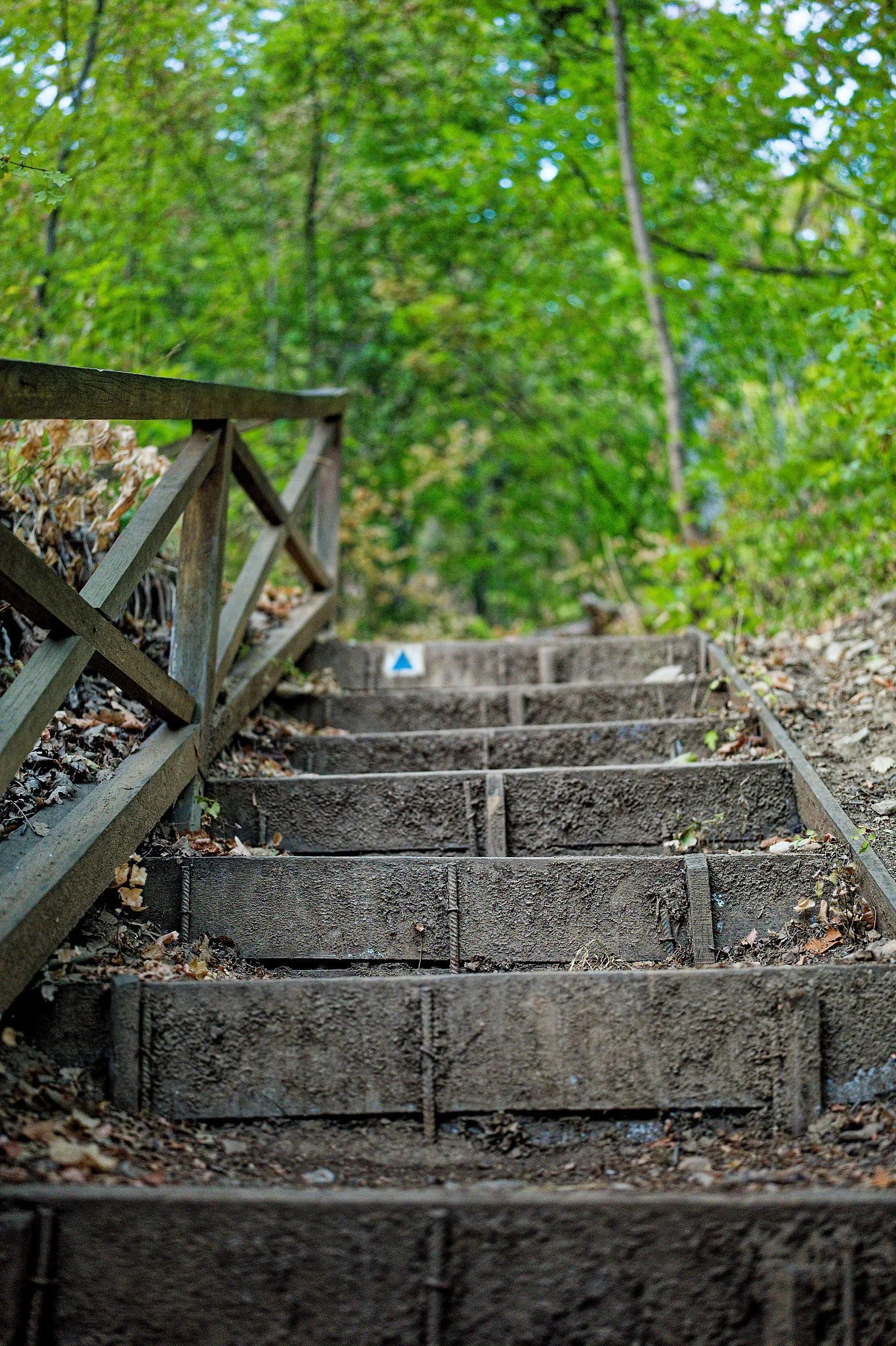 P1000984_DxO.jpg