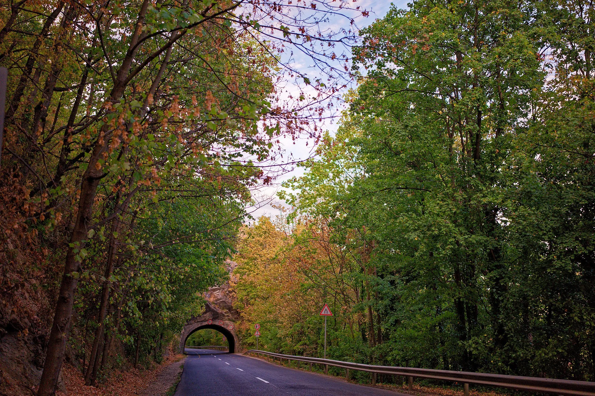P1001014_DxO.jpg