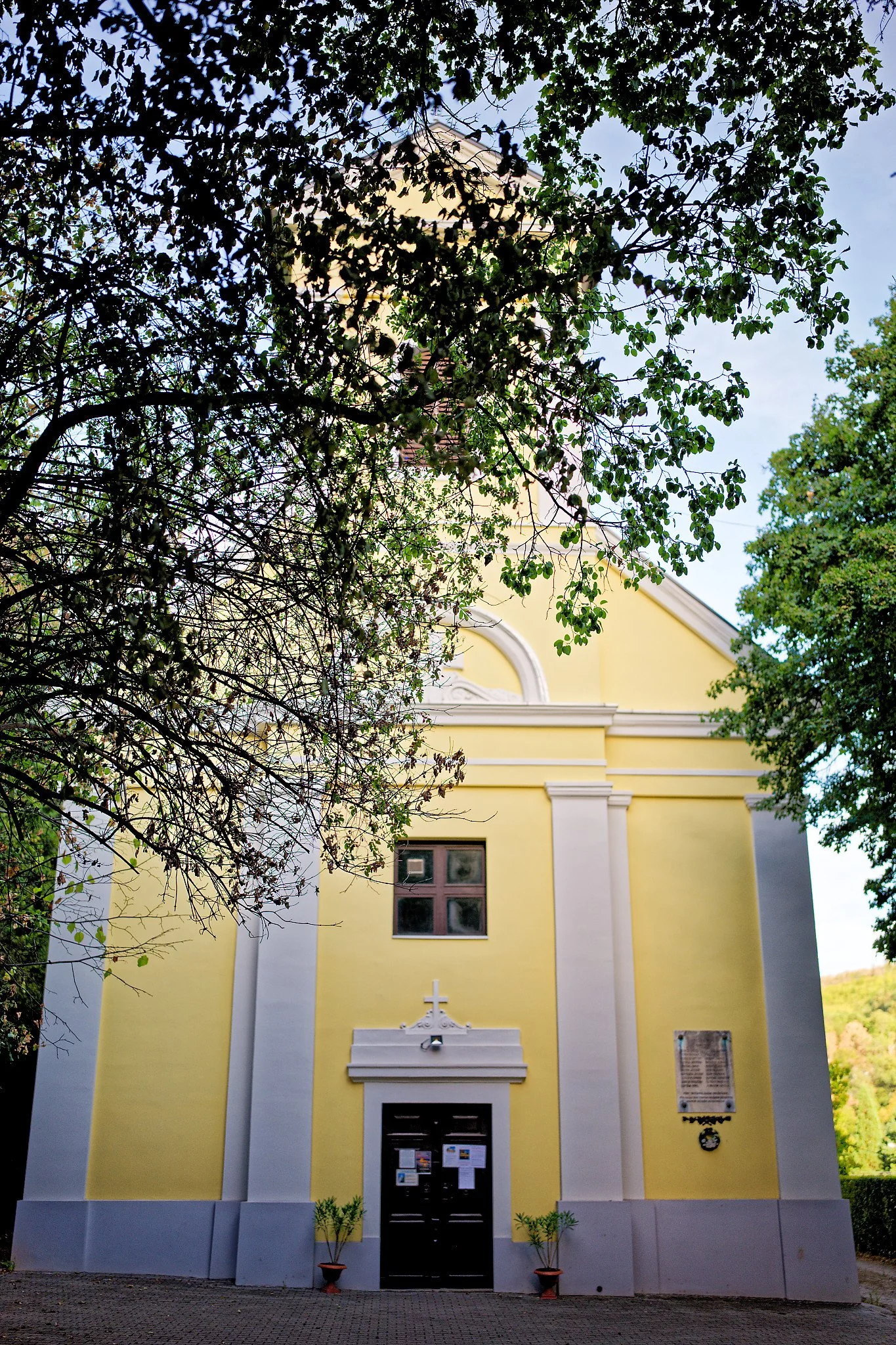 P1000981_DxO.jpg
